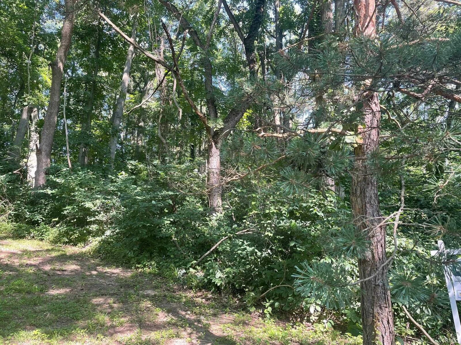 Property Photo: 0 N Boyer Avenue IN 46350