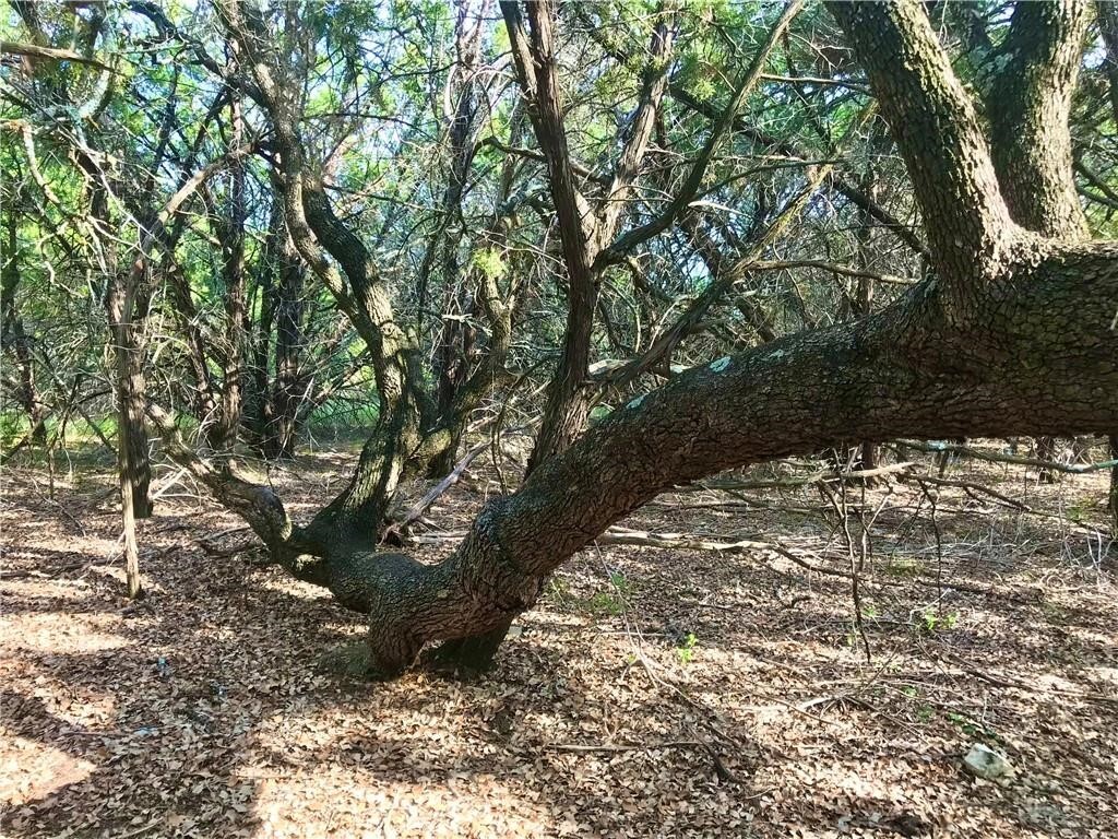 Property Photo: 8126 Chantily Trail TX 78645