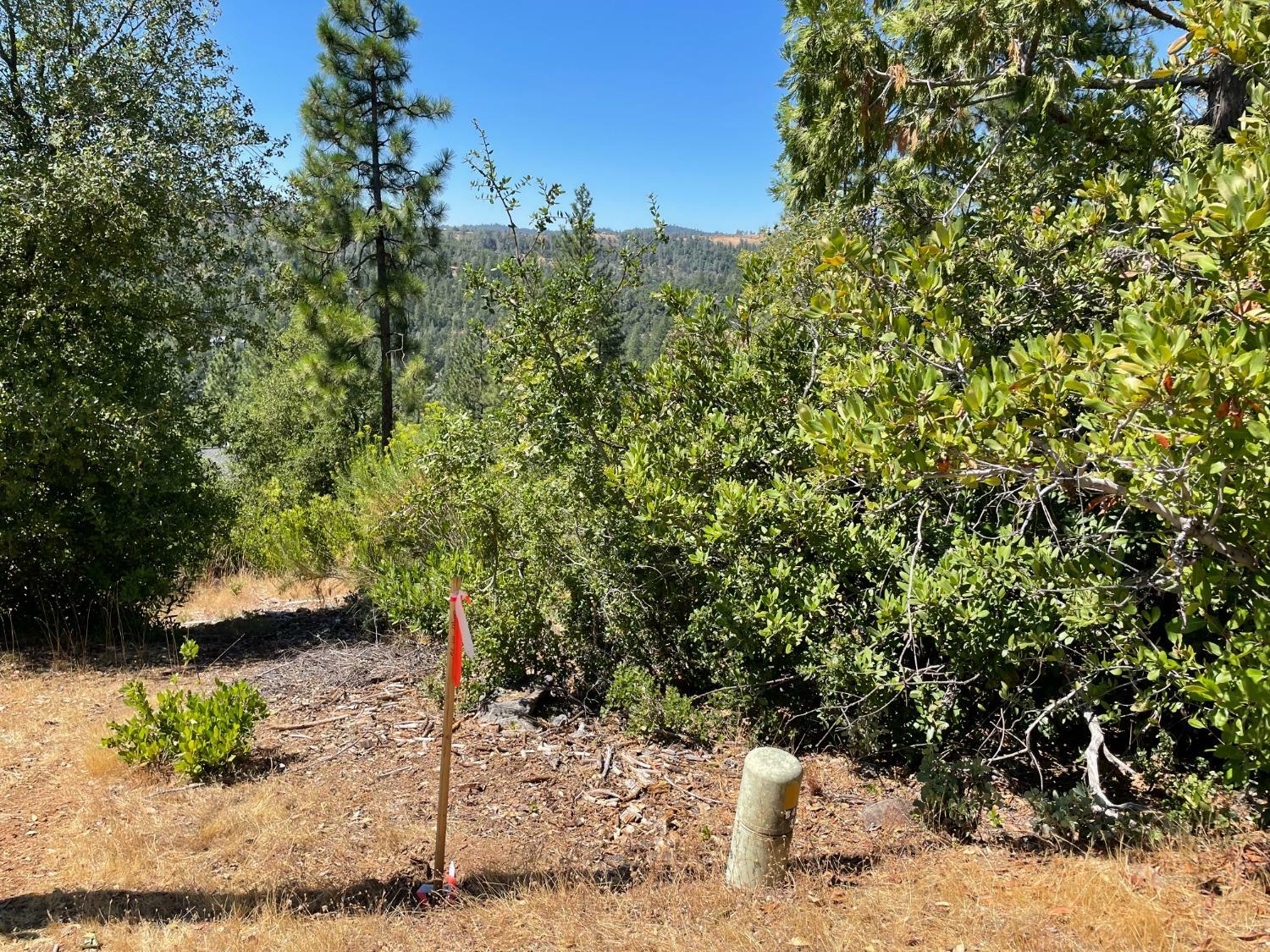 Property Photo:  0 Skyline Drive  CA 95379 