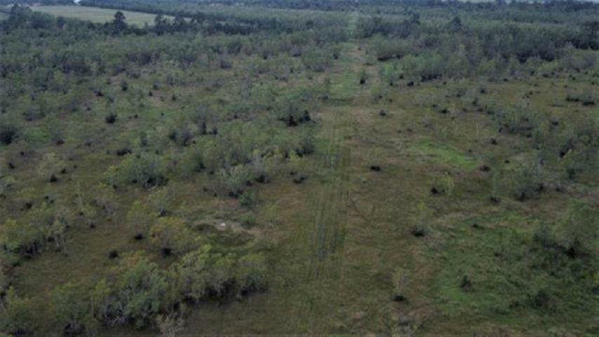 Property Photo:  003 Tulane Road  TX 77630 