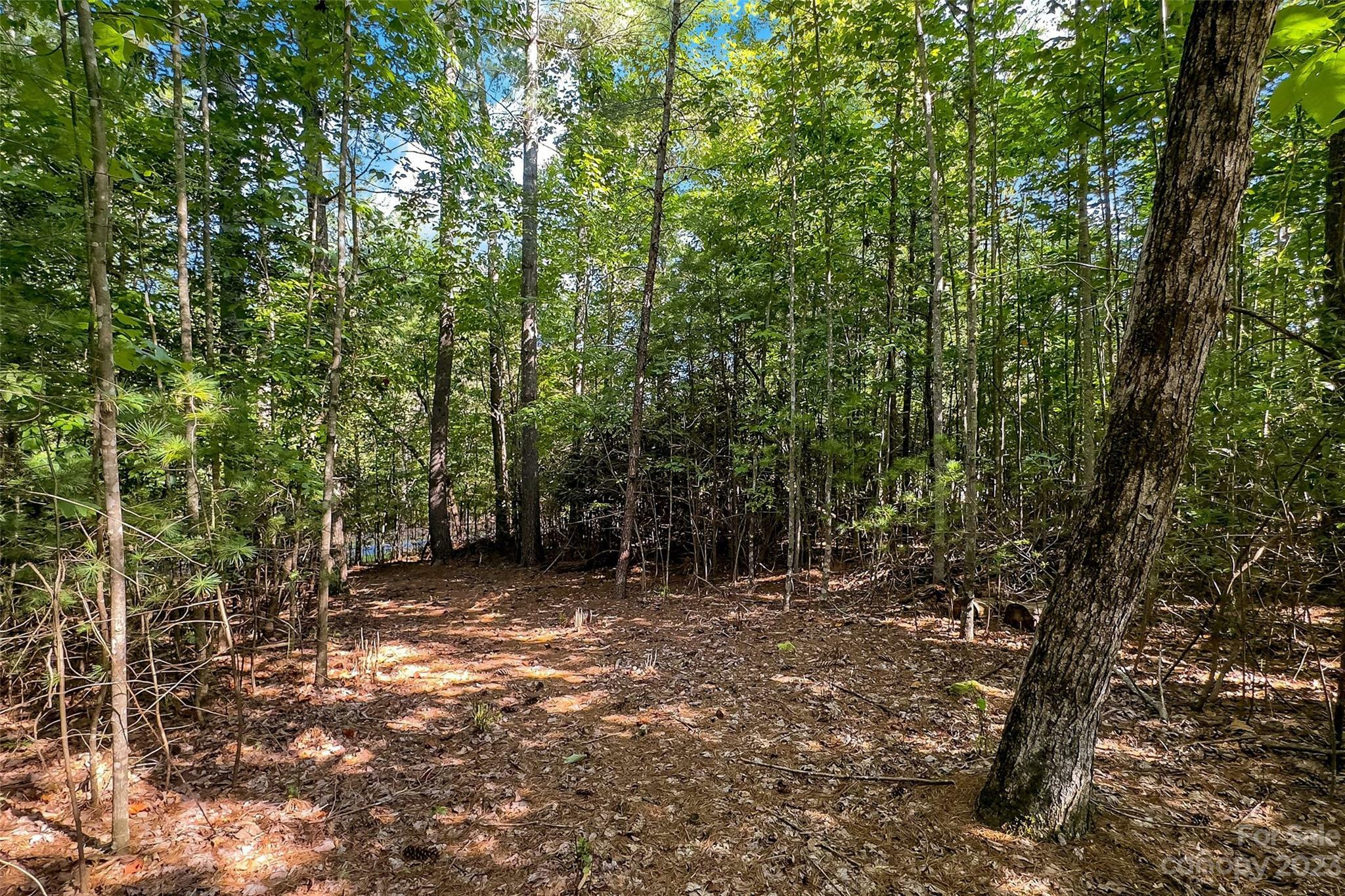 Property Photo:  V/L Forest Lake Heights Drive  NC 28761 