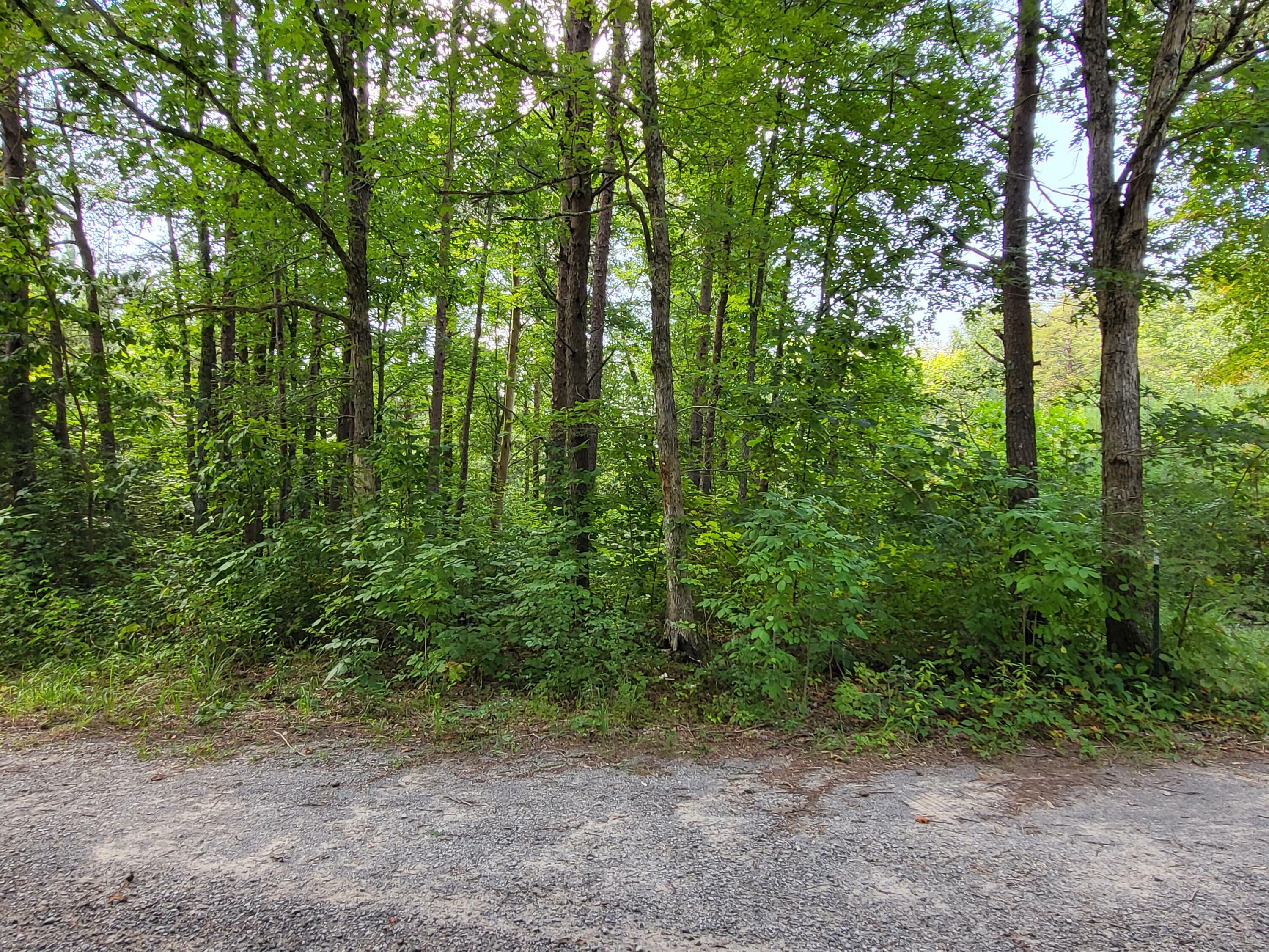 0 S Bowater Rd 34.5 Ac  Pikeville TN 37367 photo