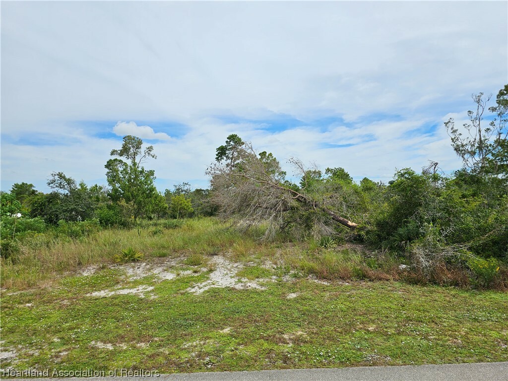 Property Photo:  1312 Columbus Street  FL 33852 