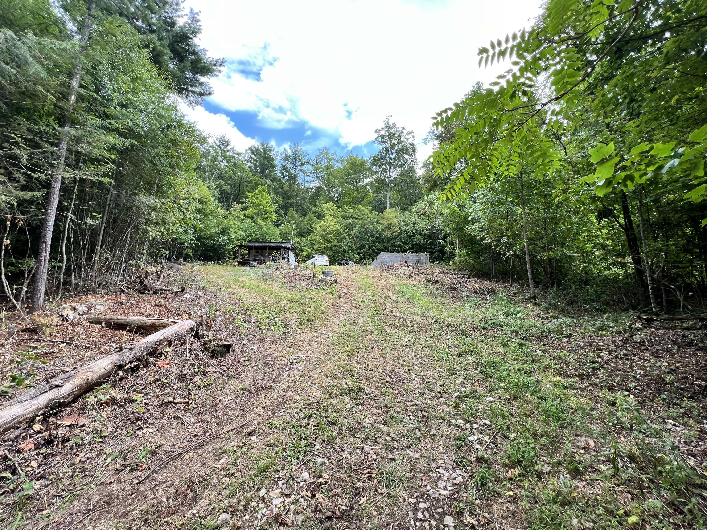 Property Photo:  181 Millard Cable Road  TN 37640 