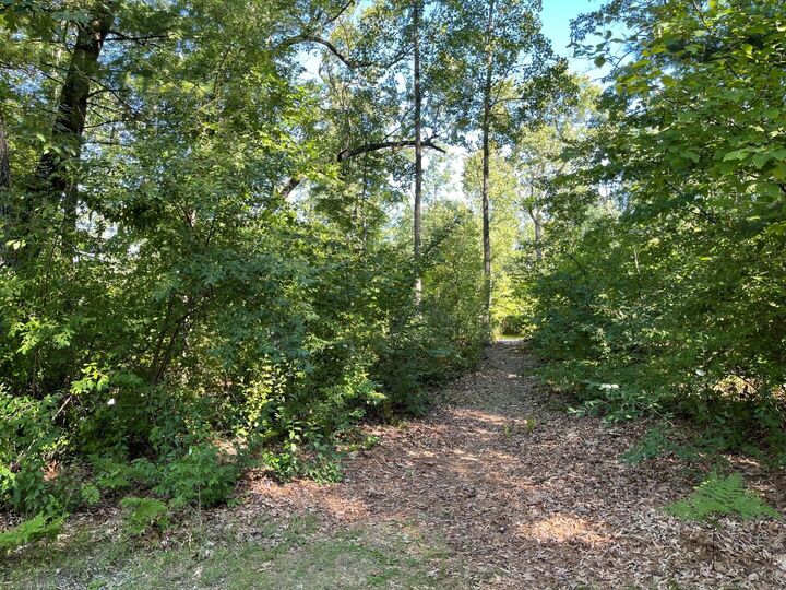 Vegas Court Lot 184  Prudenville MI 48651 photo