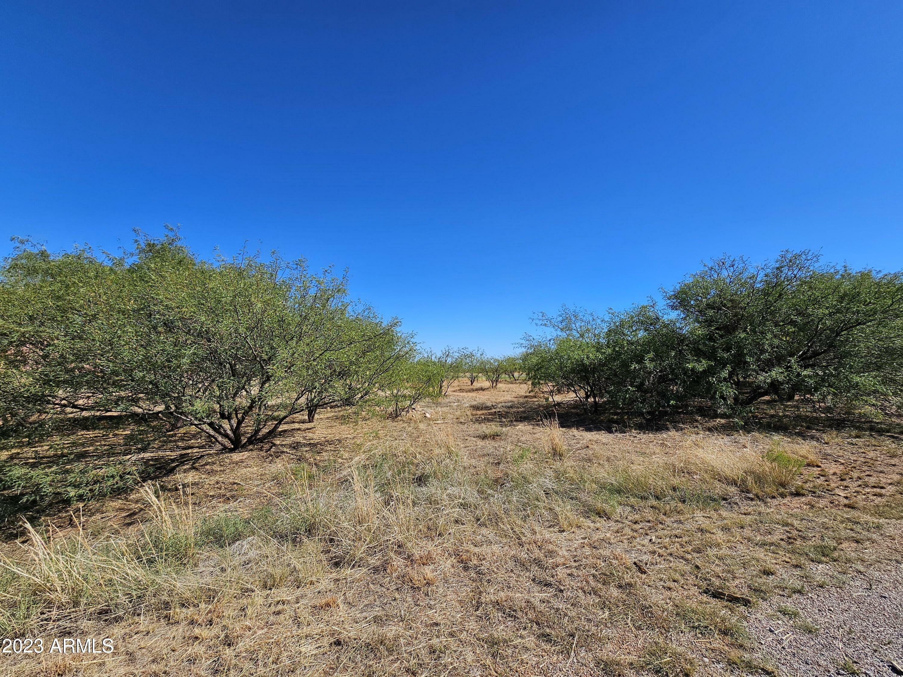 Property Photo:  Lot 85 E Sundrop Lane 85  AZ 85650 