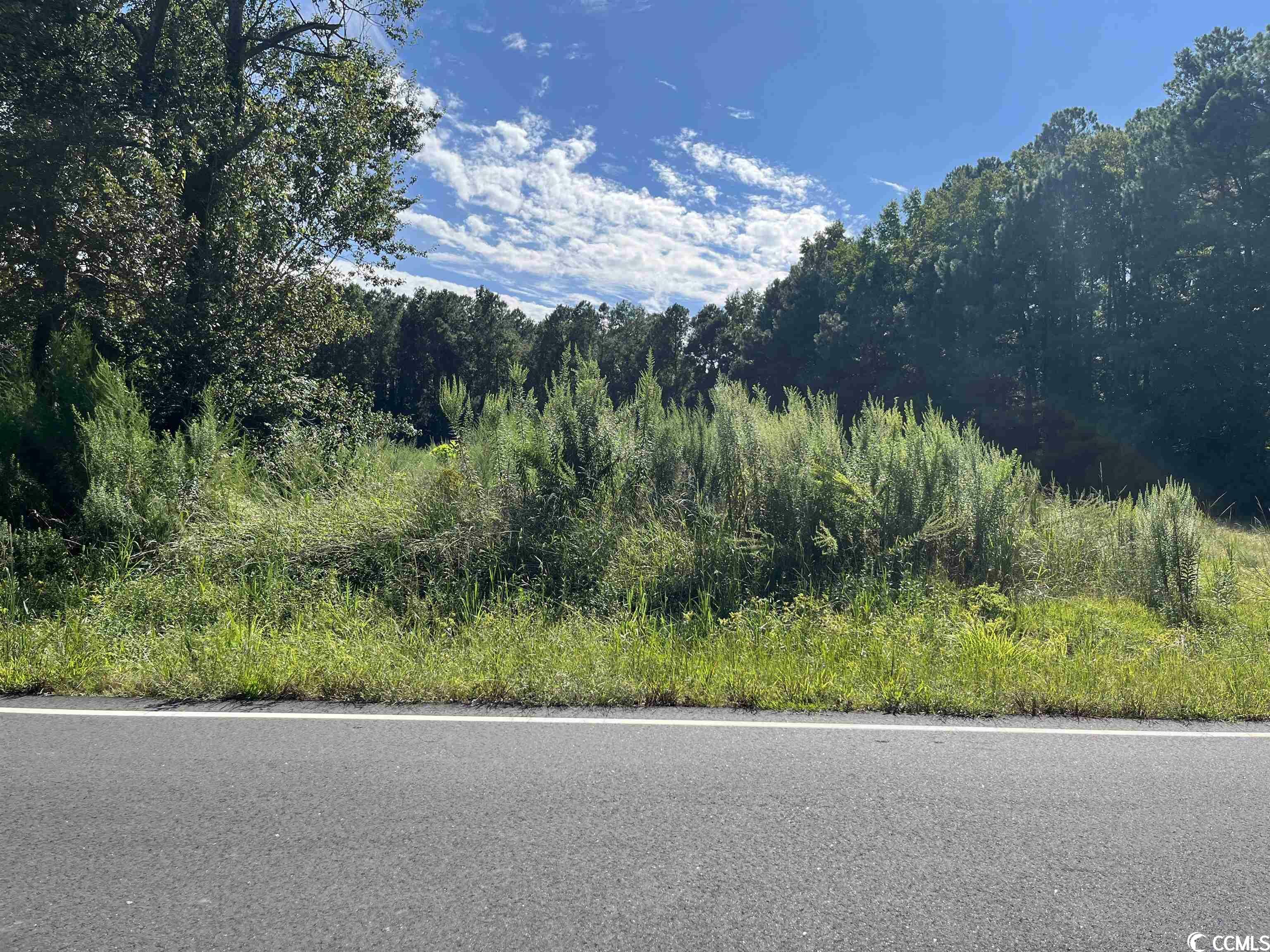 Property Photo: 3090 Wise Rd. SC 29526