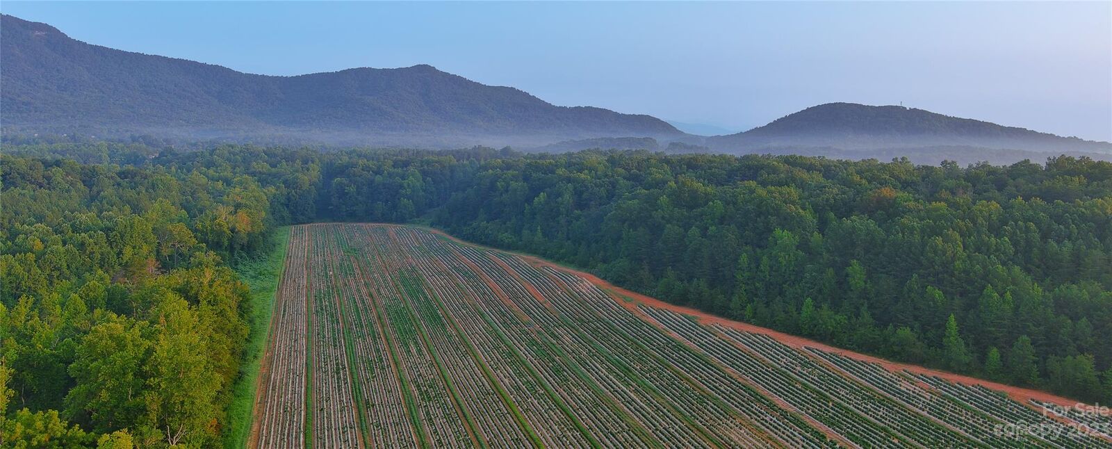 Property Photo: 0 Fox Mountain Road 2 NC 28722