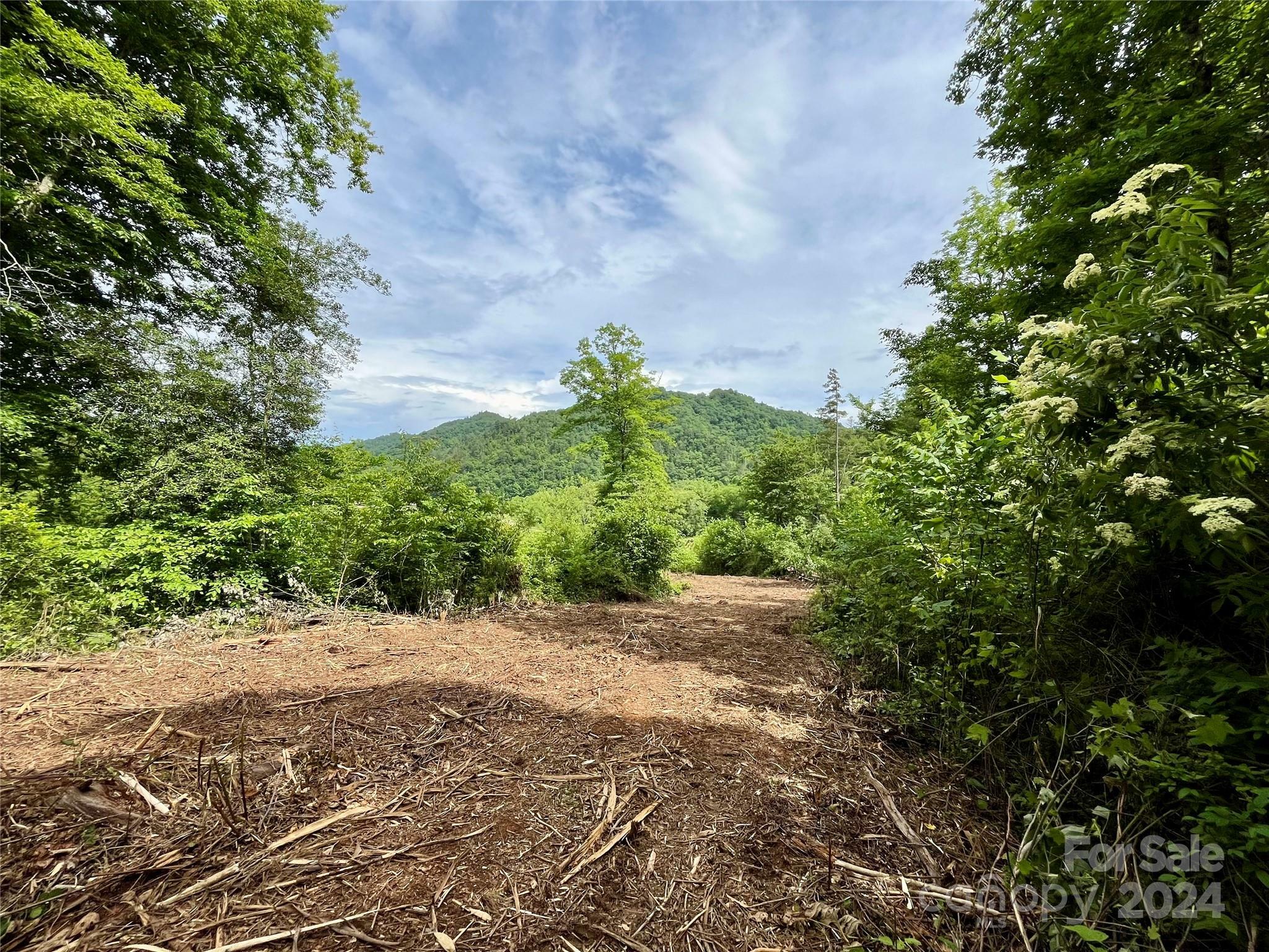 Property Photo:  Tbd Collettsville Road 4  NC 28611 