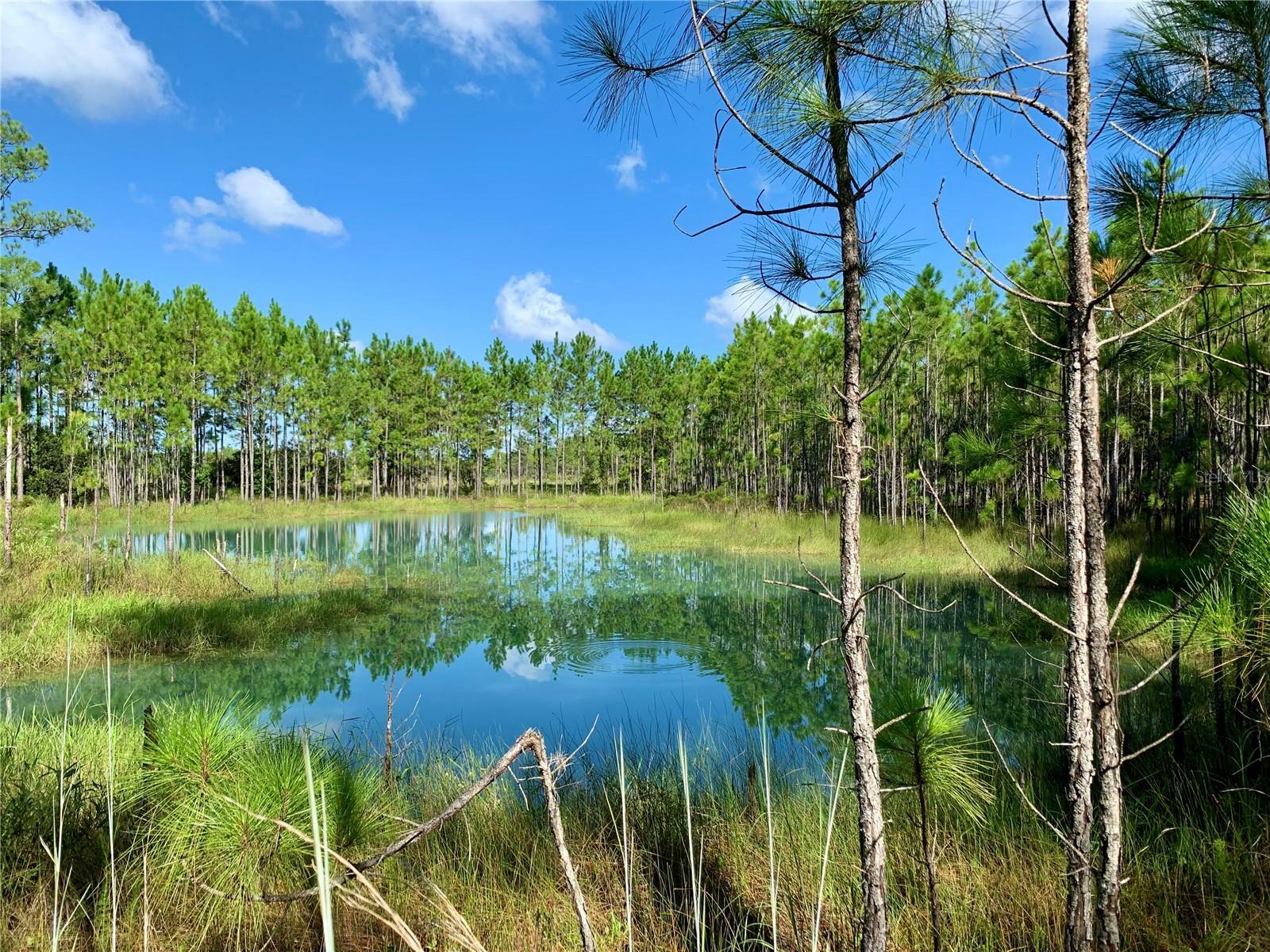 Property Photo:  Lot 8, 9 Jericho Trail  FL 32736 