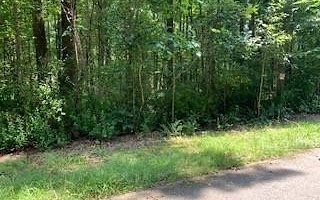 Property Photo: Lt461 Villa Drive GA 30540