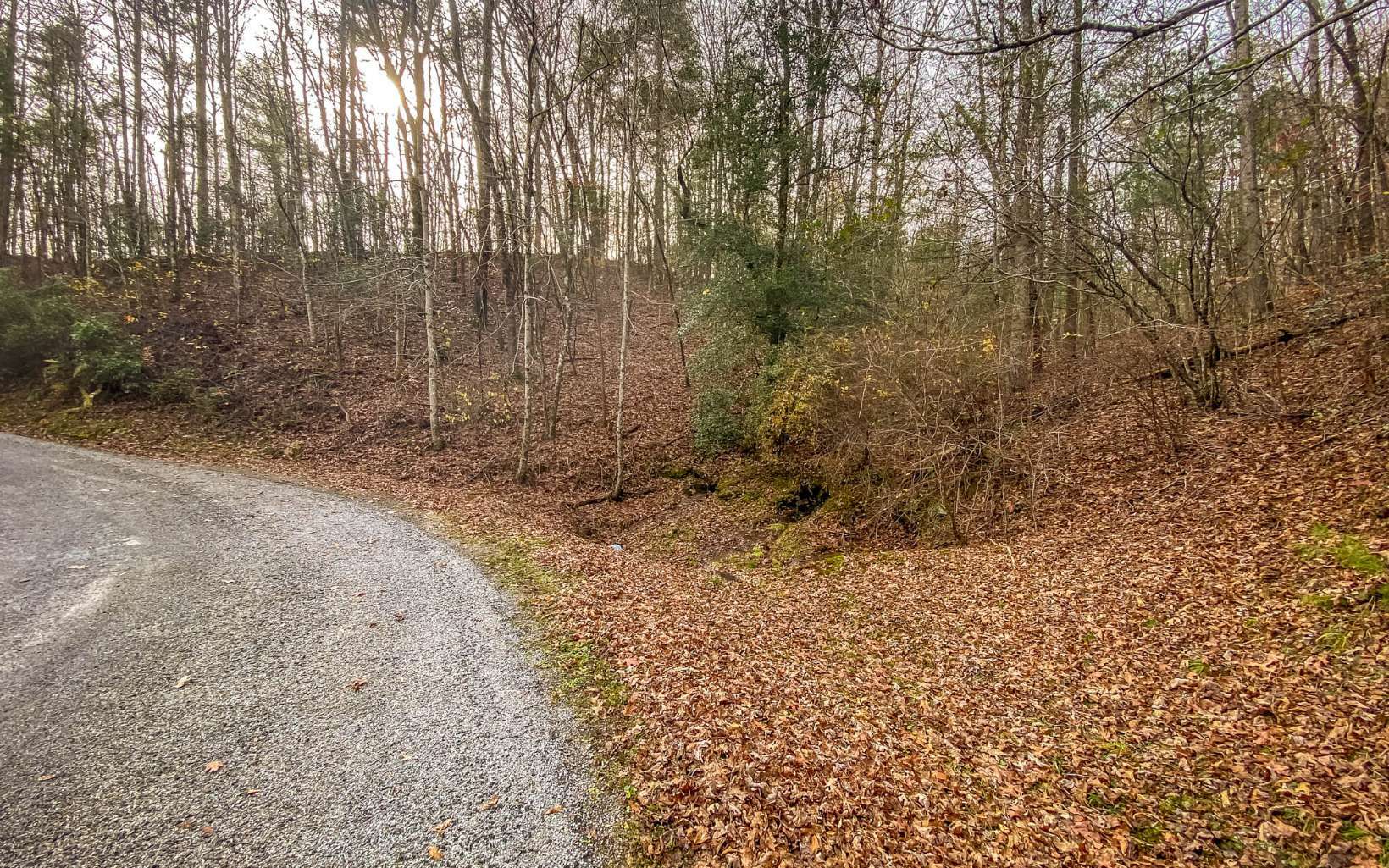 Property Photo: Lot 61 Quinn Springs GA 30540