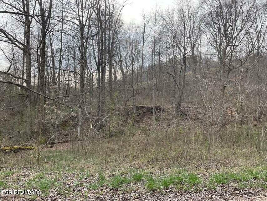 247 Carey Rd  Speedwell TN 37870 photo