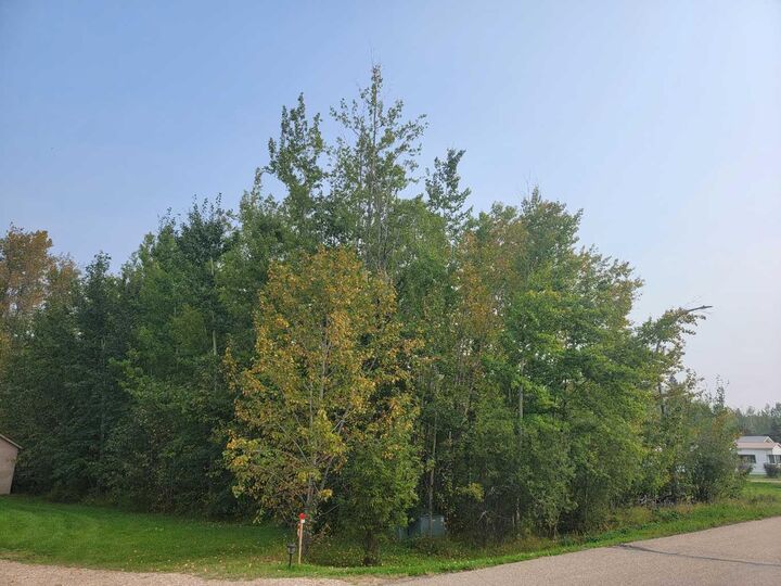 Property Photo: 5404 Spruce Avenue AB T0A 3M0