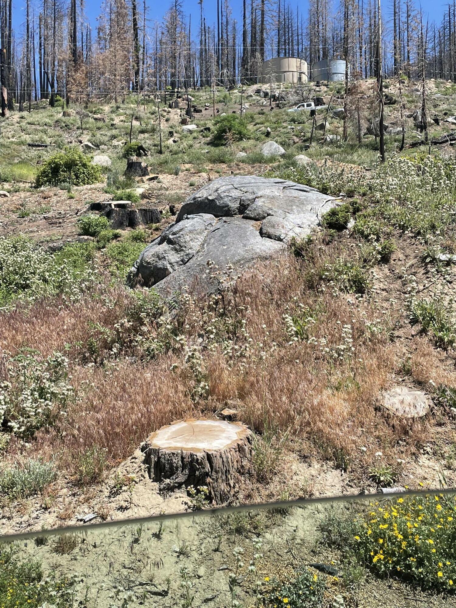 Property Photo: 53303 Summit Drive CA 93265