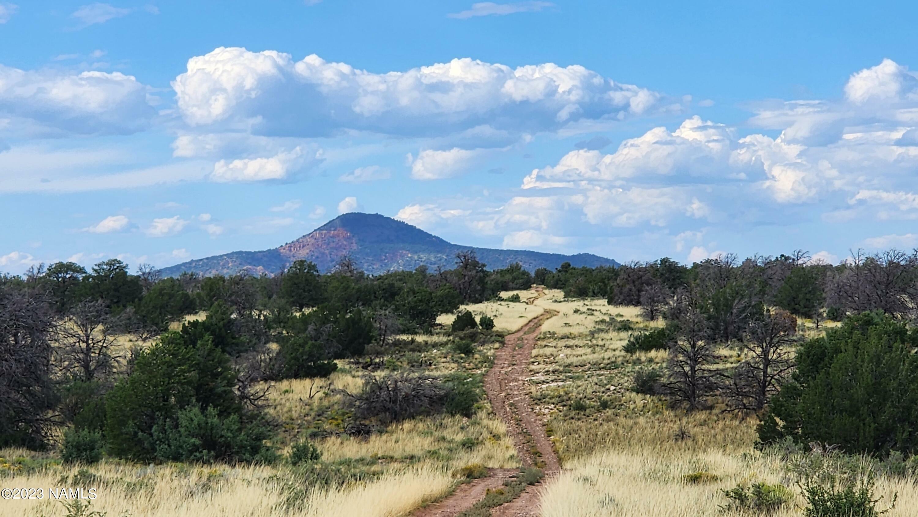 Property Photo:  5368 N Via De La Paloma Way  AZ 86046 