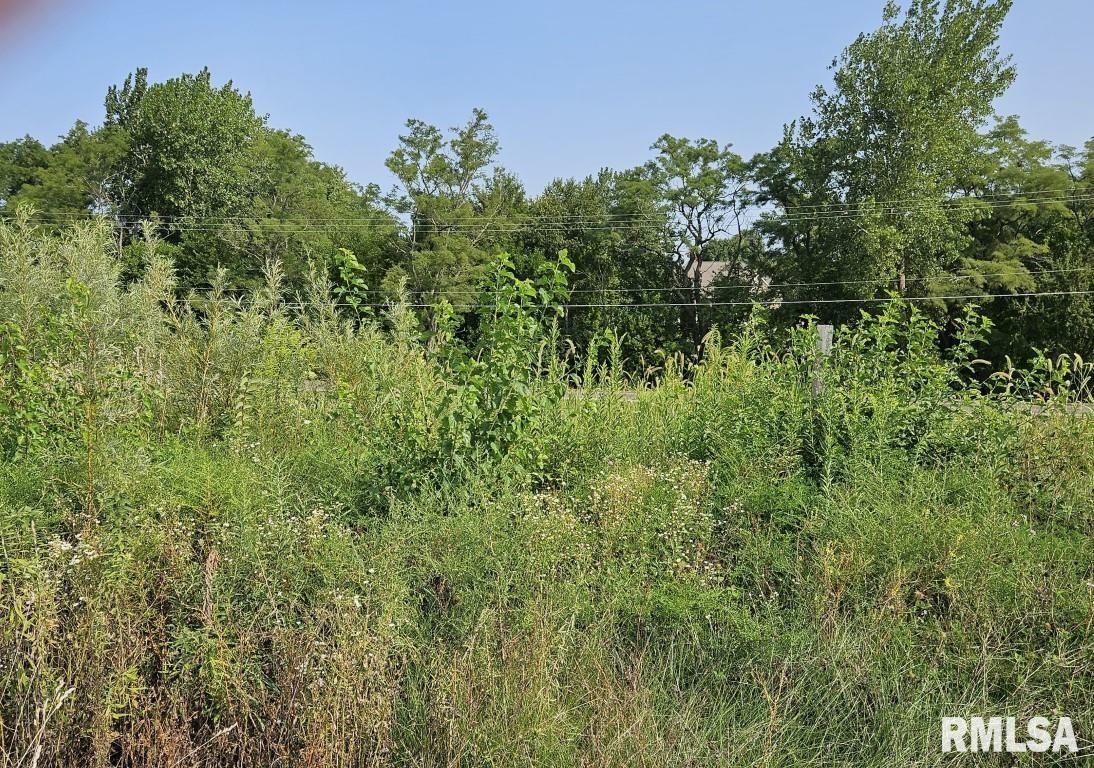 Property Photo:  Lot 100 Brittany Court  IL 61548 