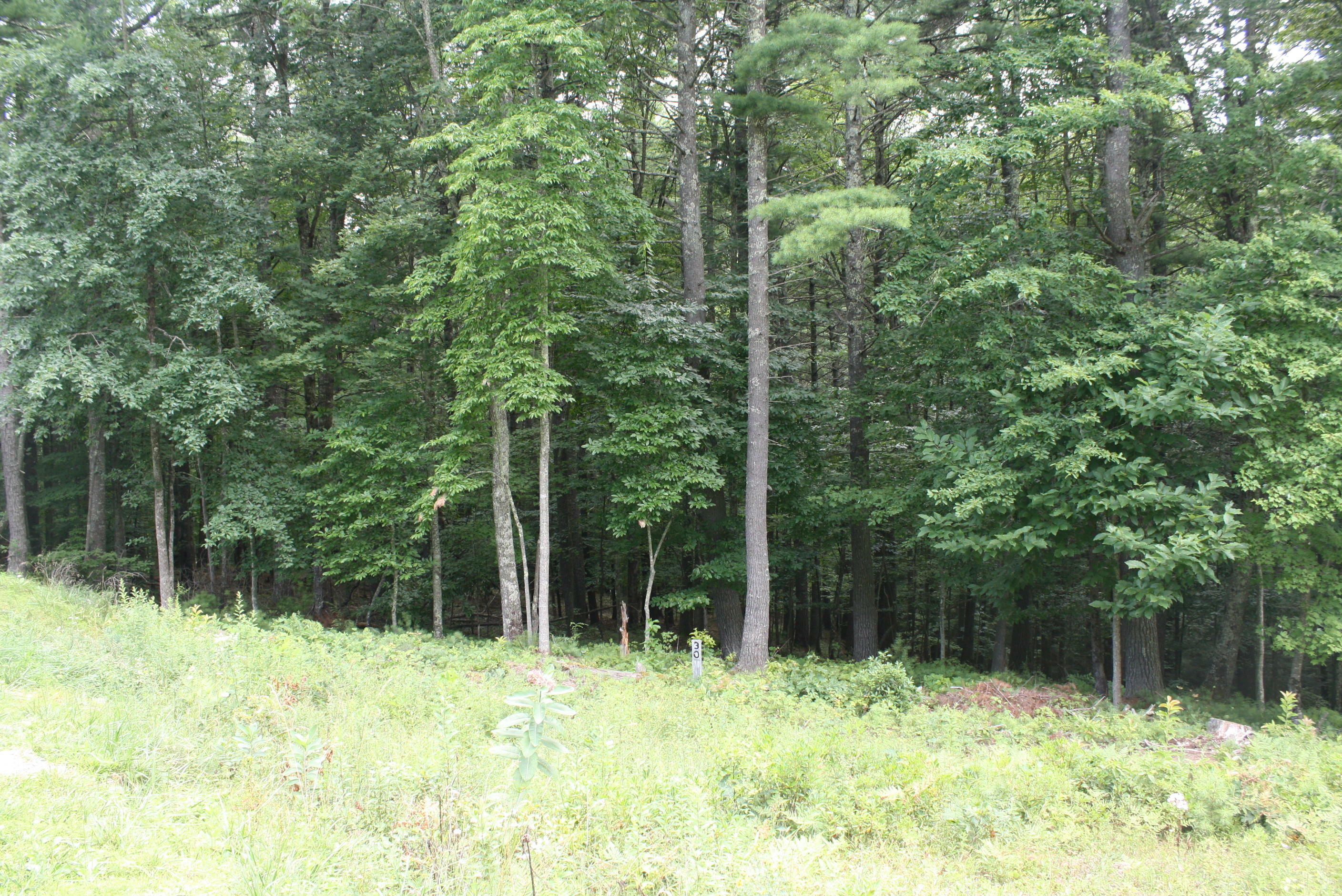 Property Photo:  Lots 30-32 Linkwood Lane Pipestem Pointe  WV 25979 