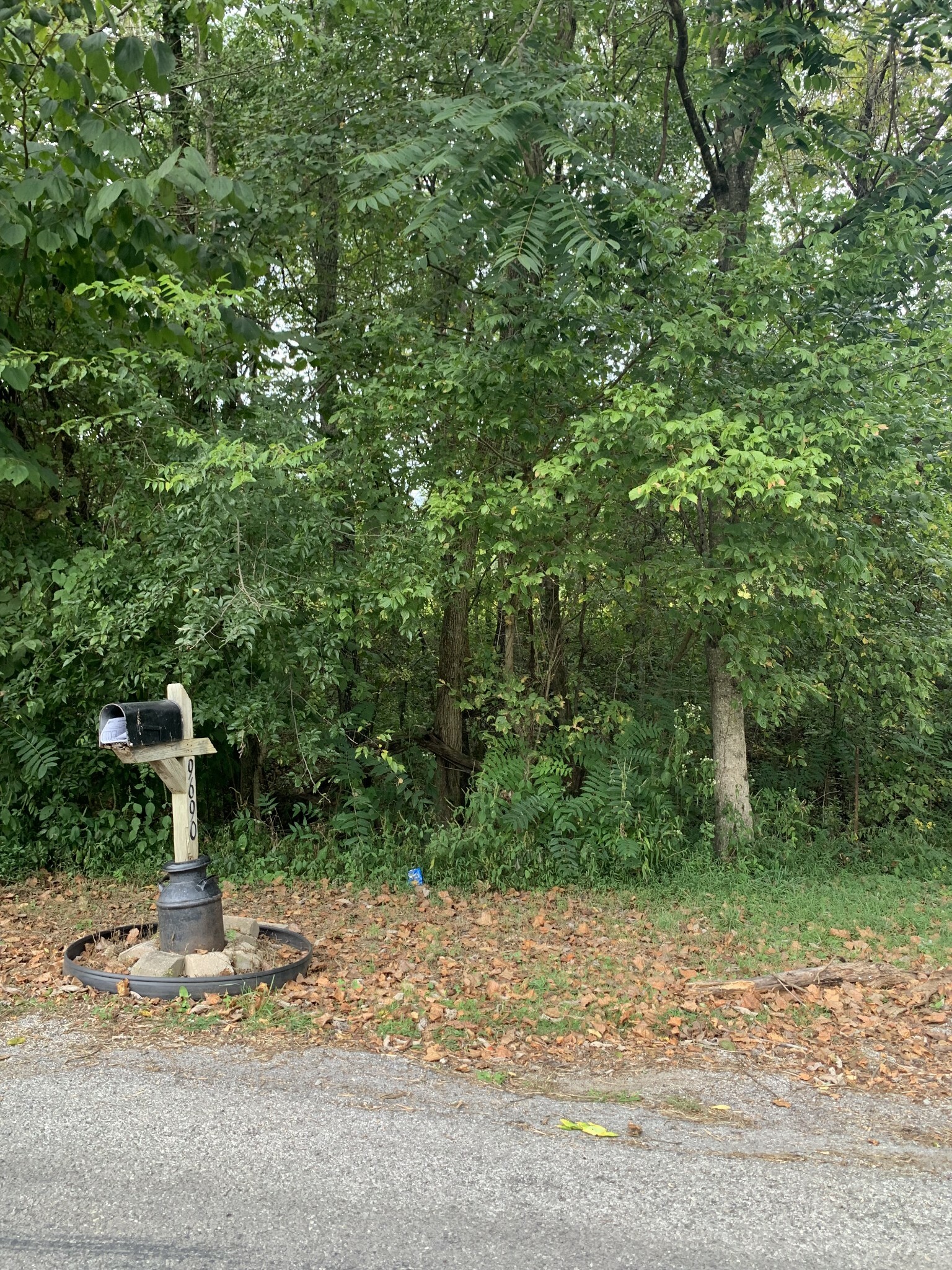 Property Photo:  9690 Epperson Springs Rd  TN 37186 