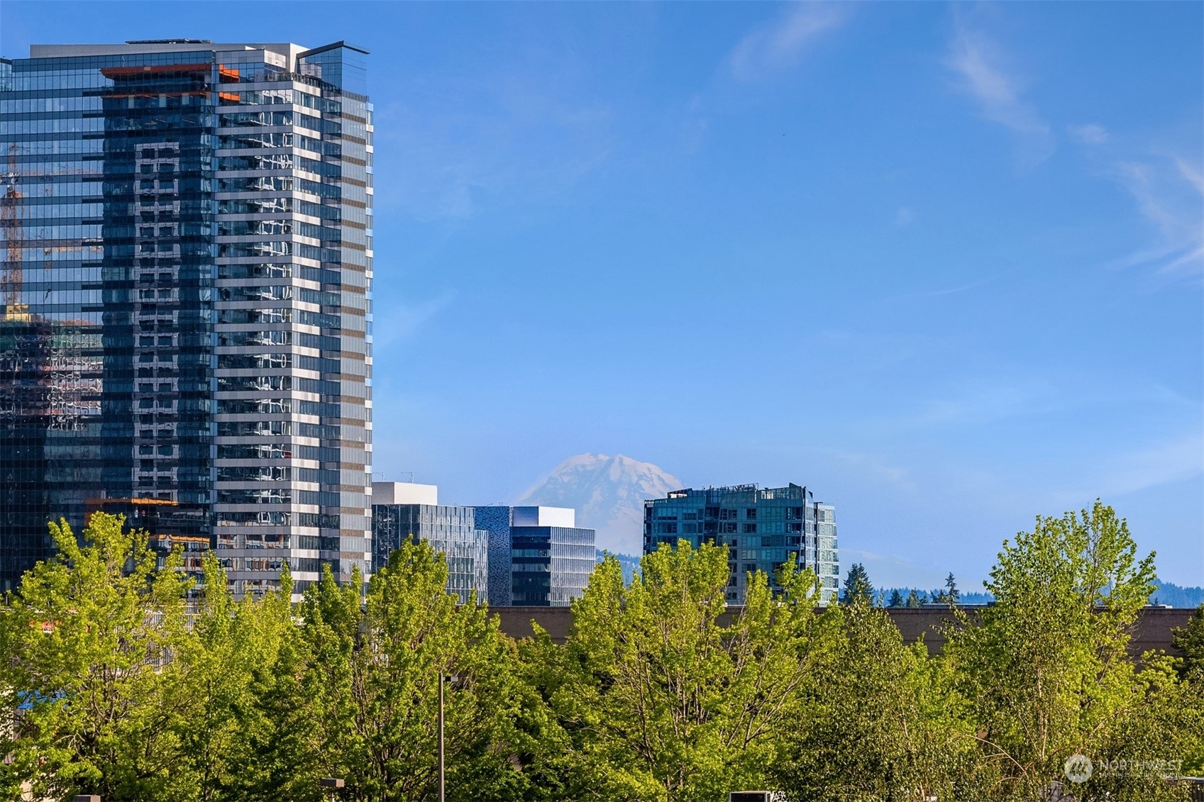 10001 NE 12th Street 103  Bellevue WA 98004 photo