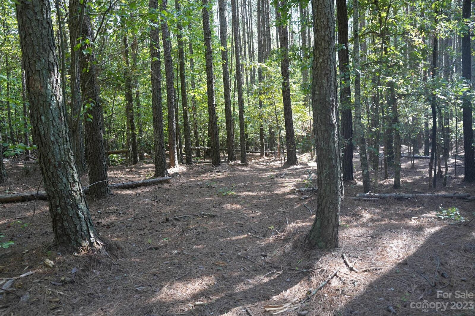 Property Photo:  00 Casar Belwood Road F  NC 28090 