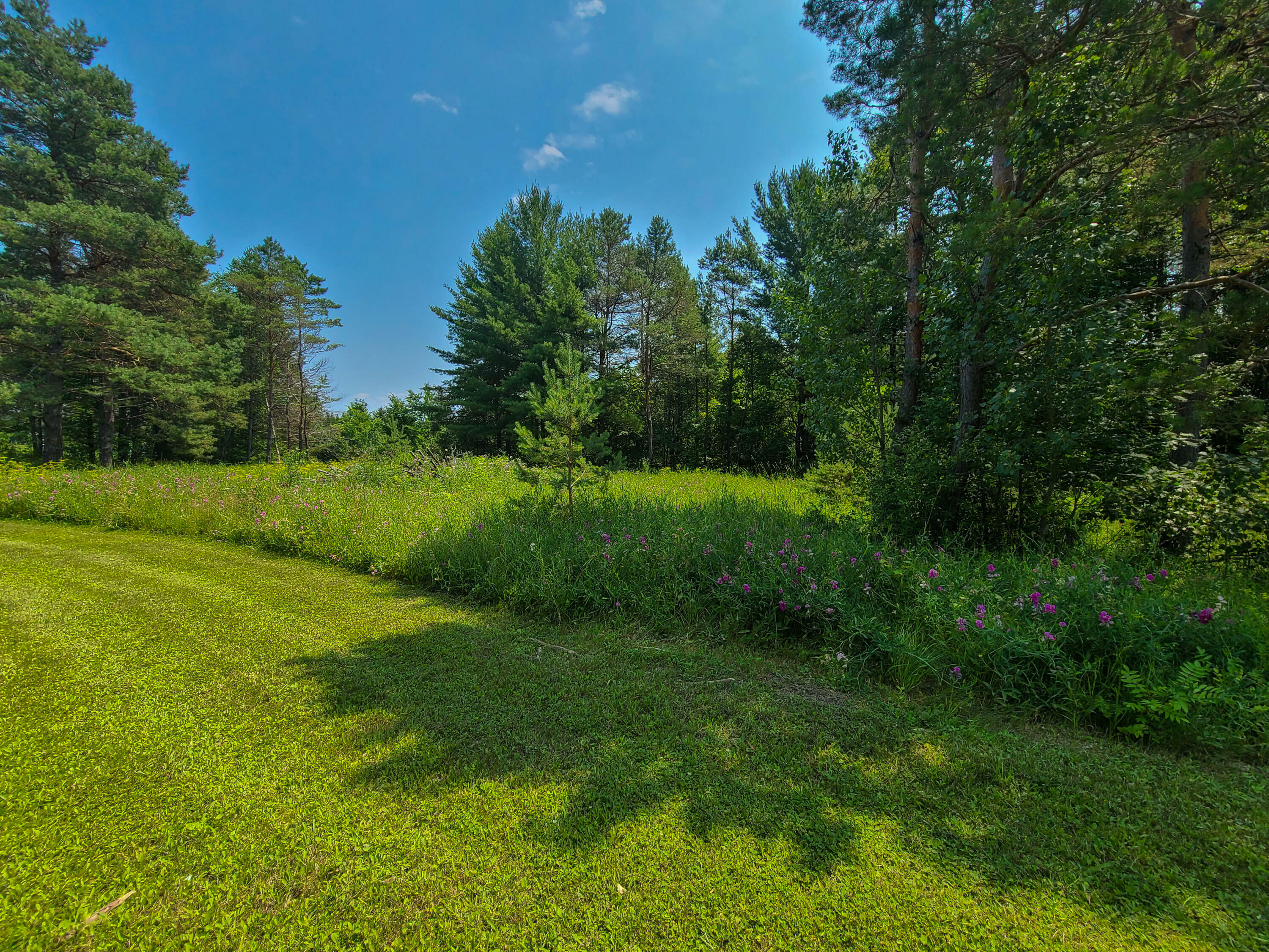 Property Photo:  1230 Rivers Ridge Court  MI 49721 