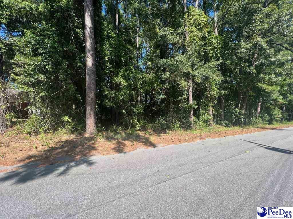 Property Photo:  3313 E Huntington Dr.  SC 29506 