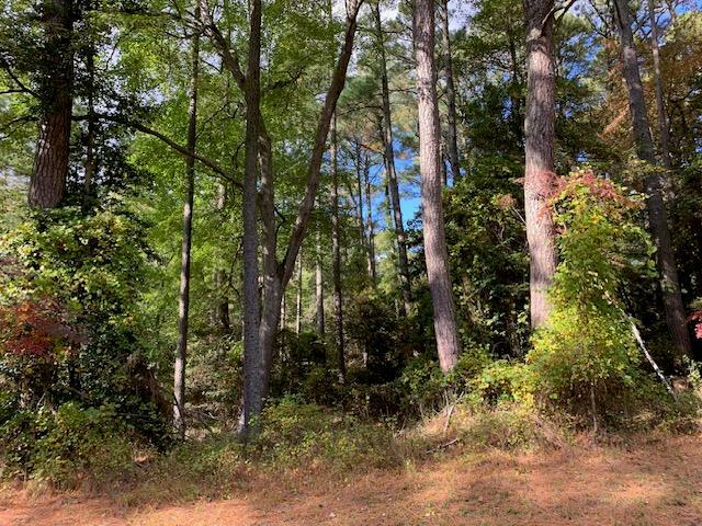 Property Photo:  Lot 868 Broadside Dr  VA 23356 