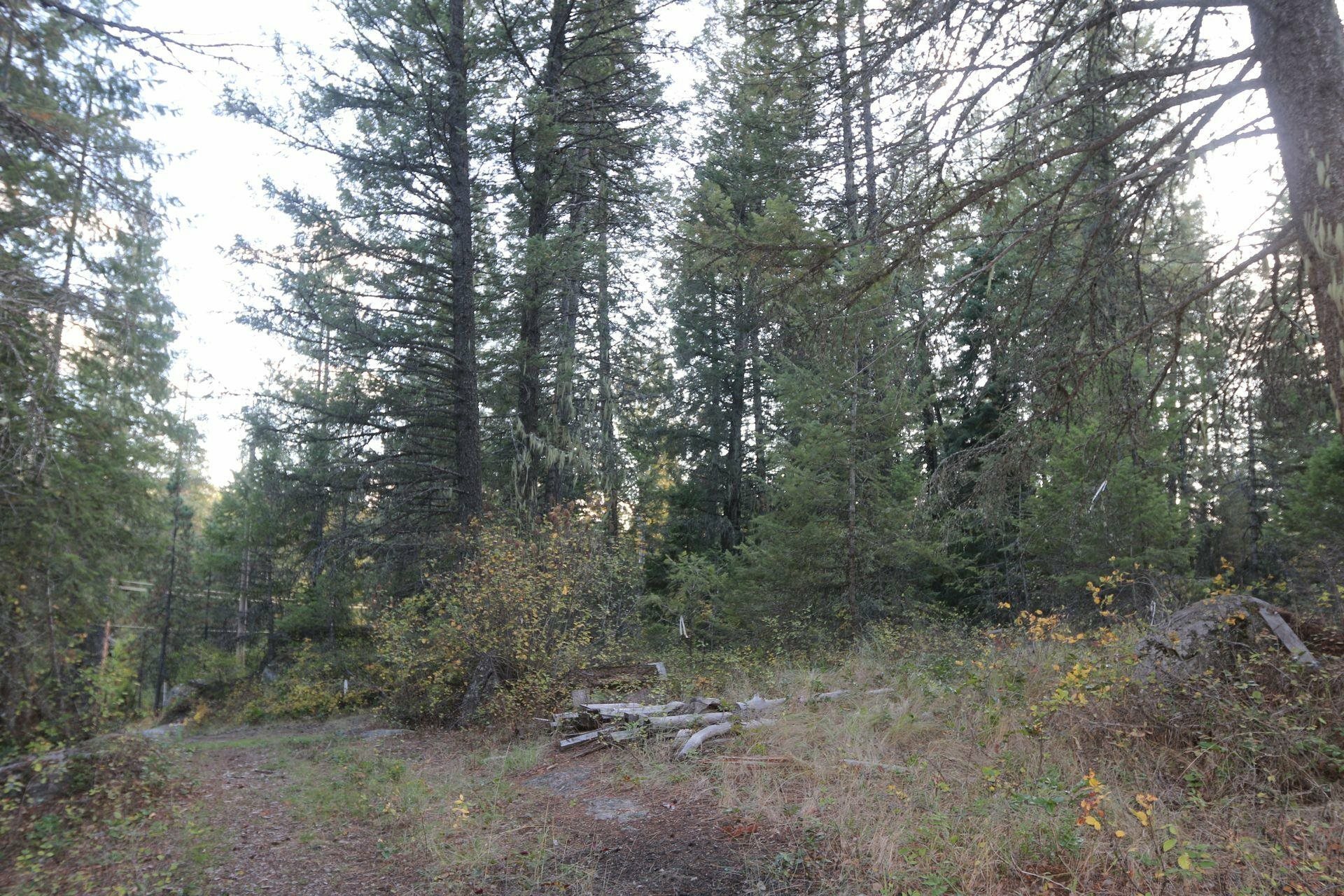 Property Photo:  7289 Fertile Valley Rd  WA 99156 