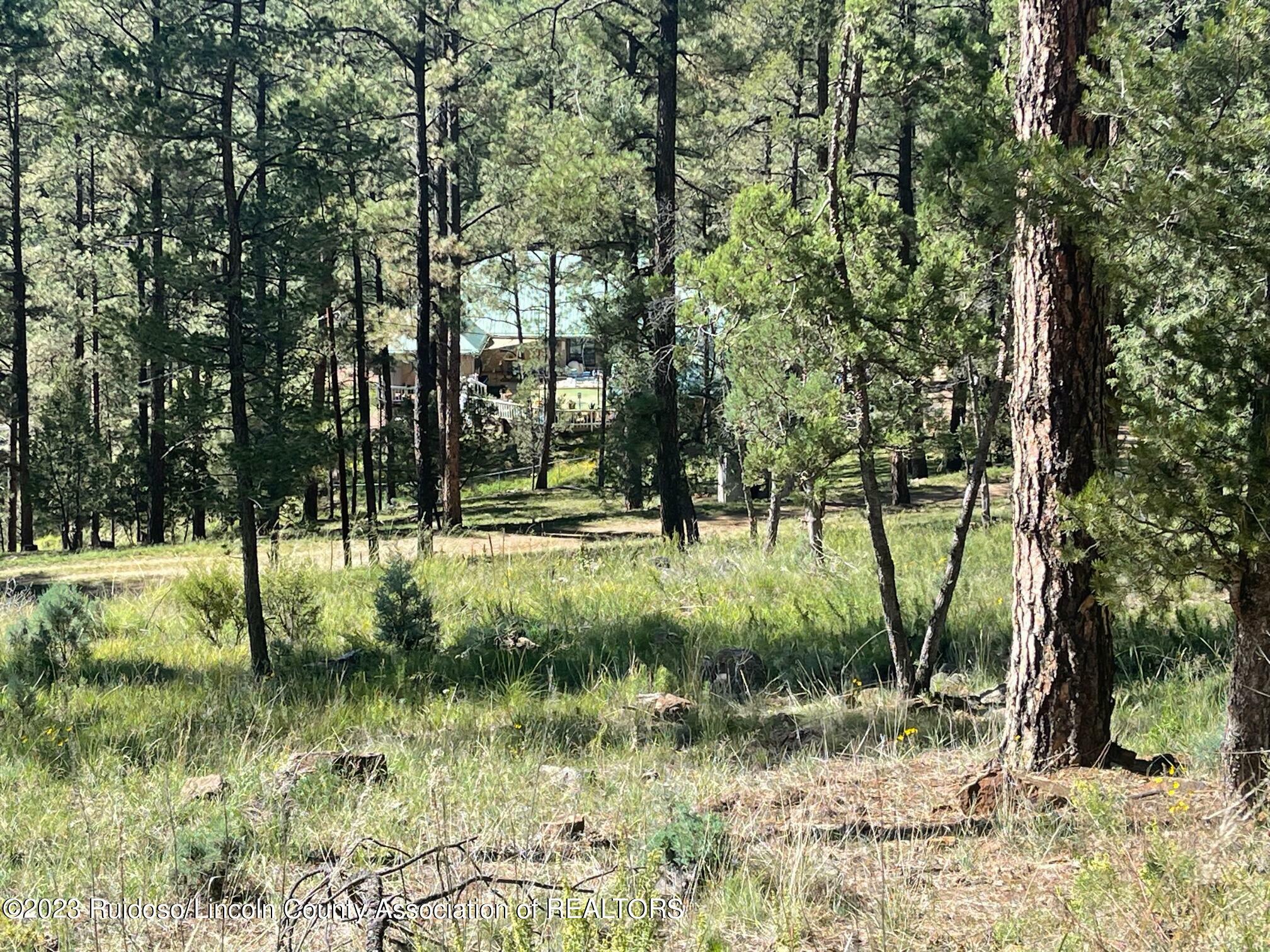 Property Photo:  111 Poco Loco Drive  NM 88345 