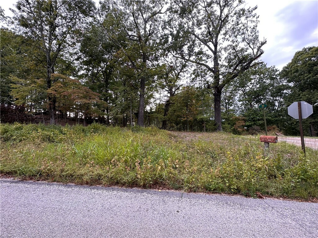 Property Photo:  Lot 3 Silver Summit Road  AR 72631 