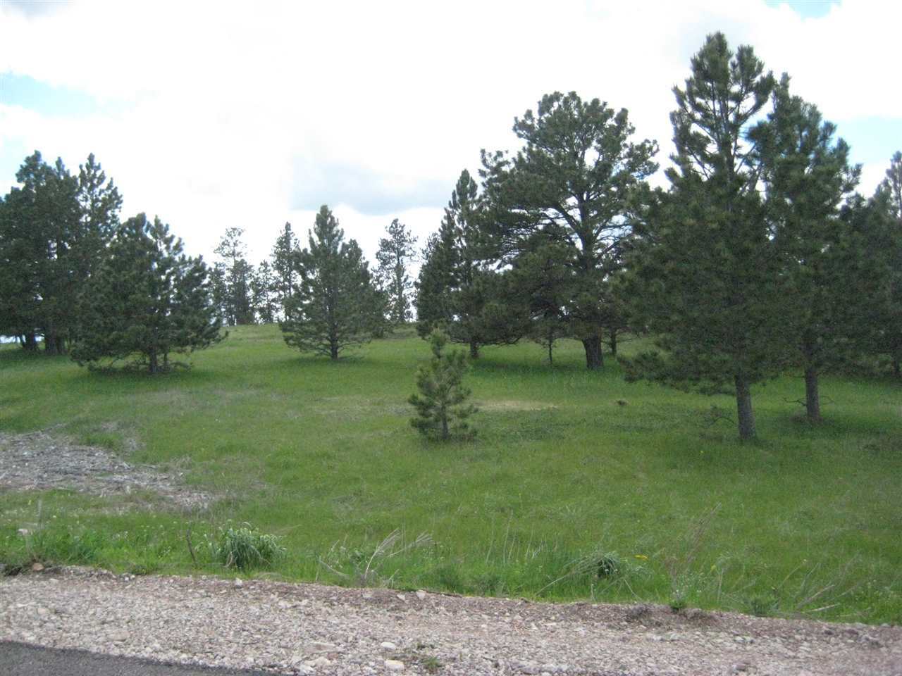 Property Photo:  Lot 14, Blk 2 Gobbler Road  SD 57783 