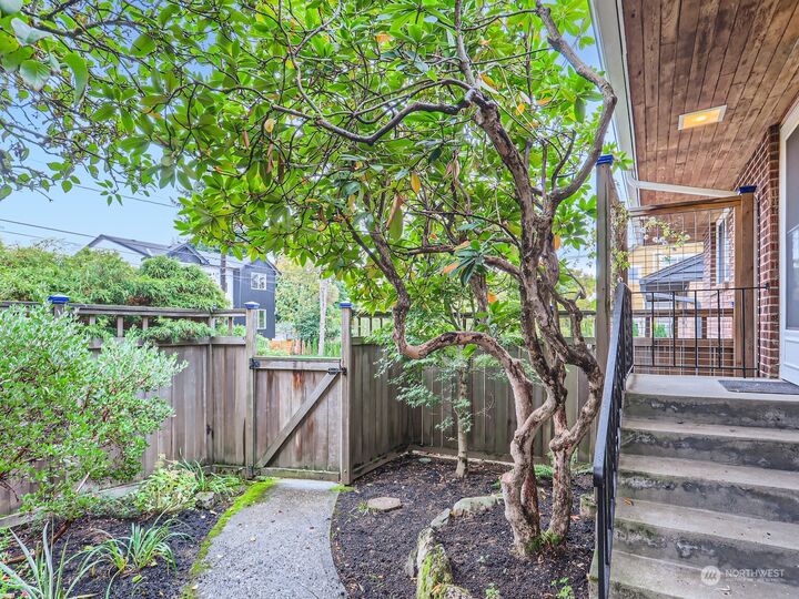 Property Photo:  6543 25th Avenue NE  WA 98115 