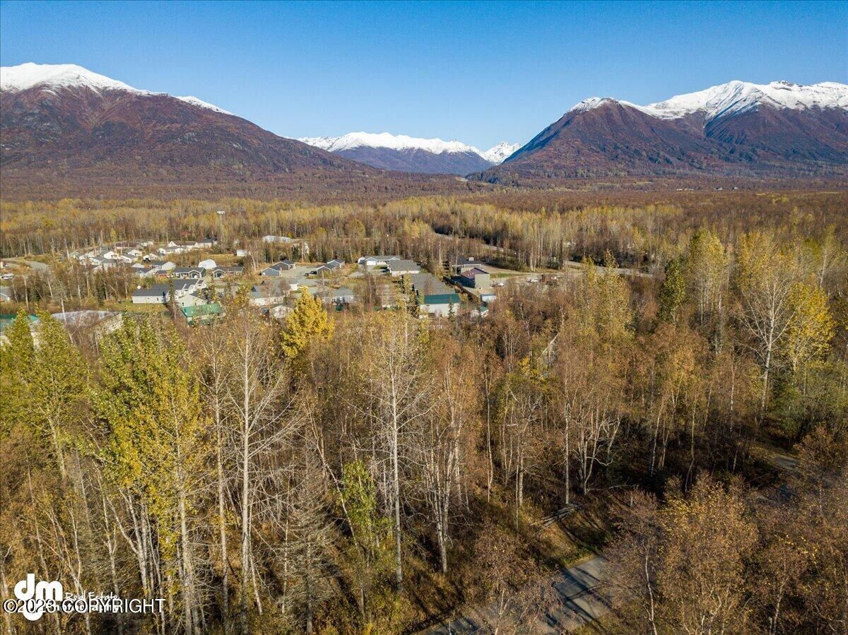 Property Photo:  8141 E Gold Bullion Boulevard  AK 99645 