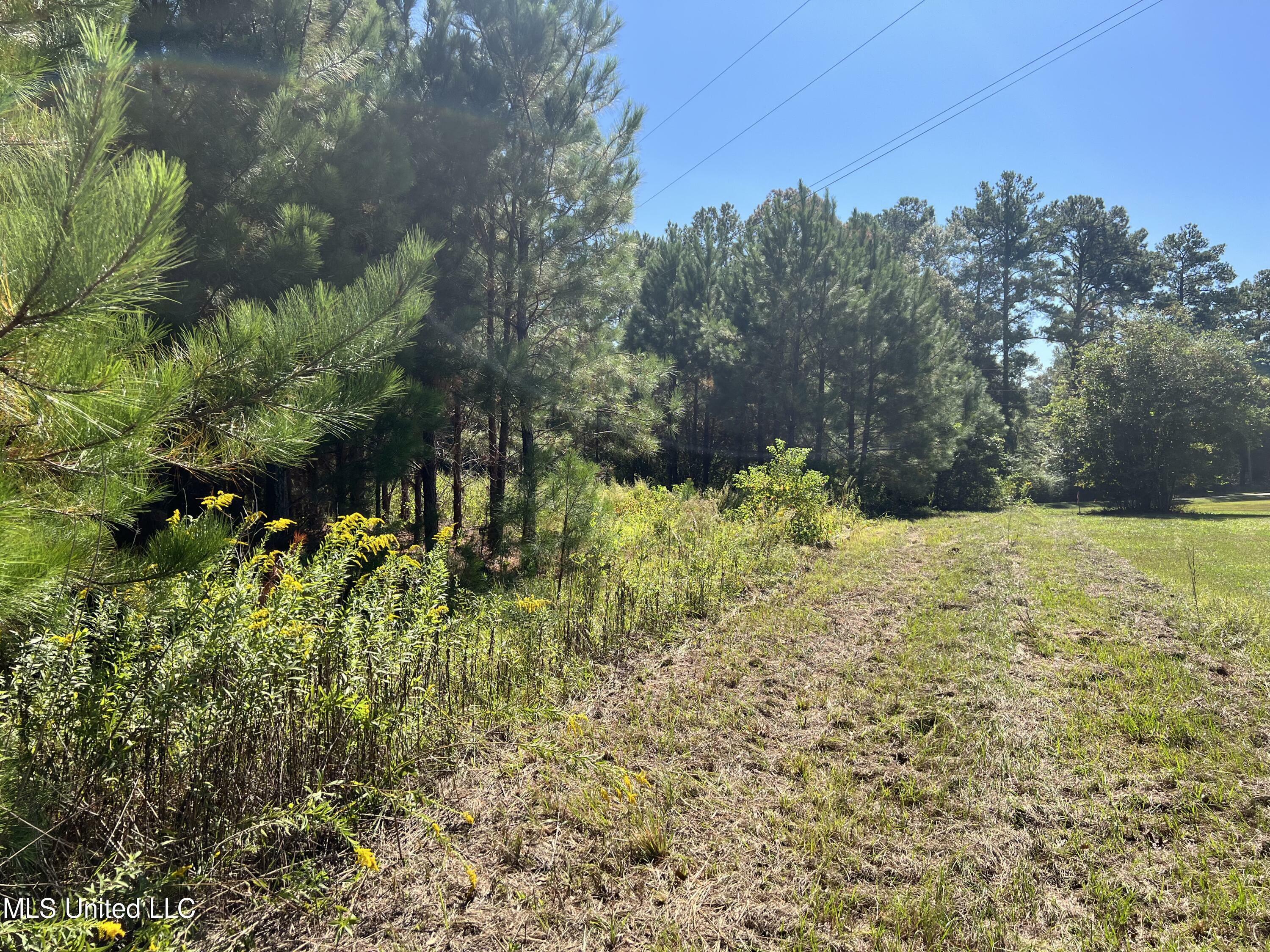 Property Photo:  Tbd Big 4 Road  MS 39577 