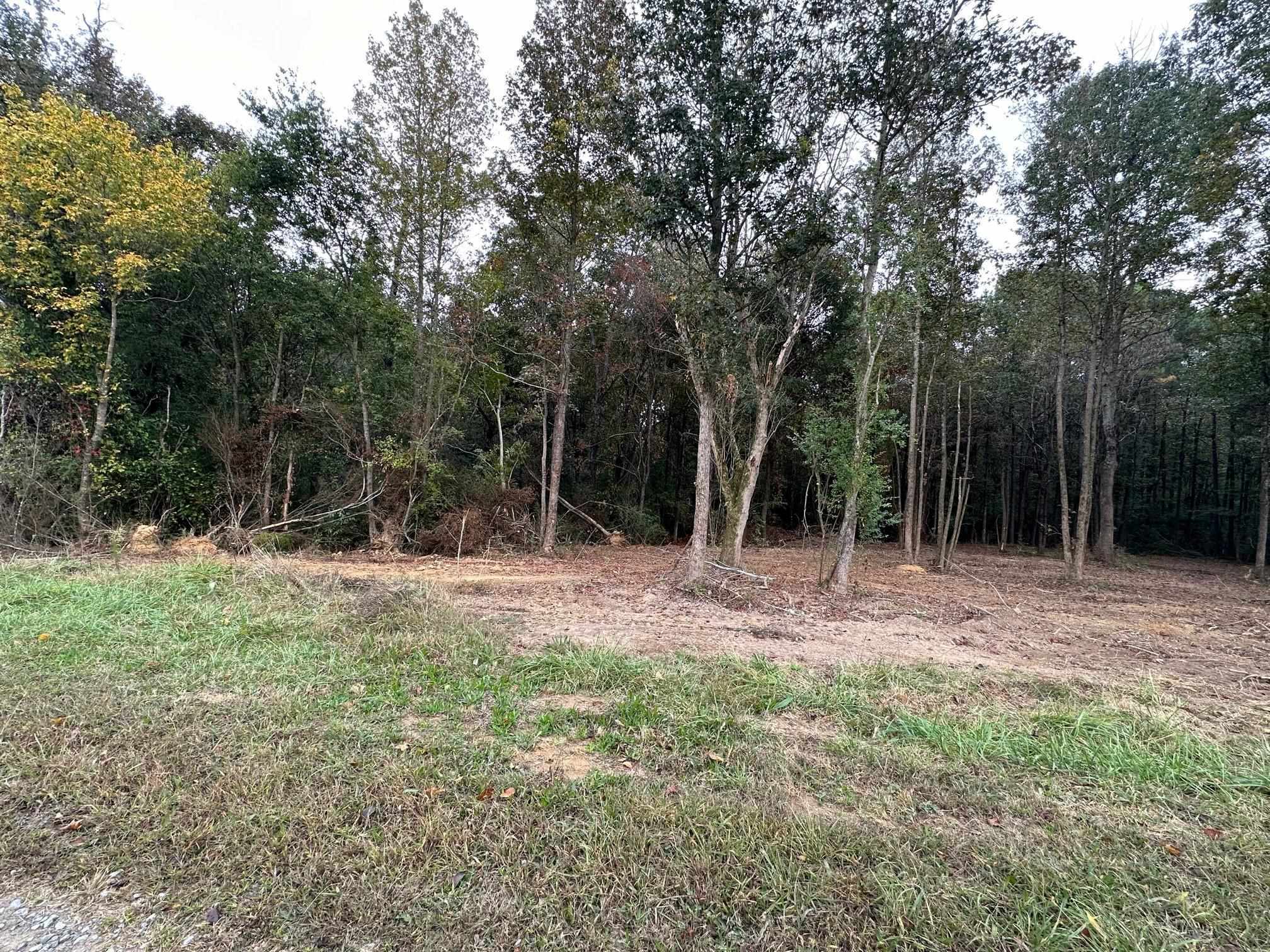 Property Photo:  Lot 4 Co Rd 1653  AL 35058 - CULLMAN 