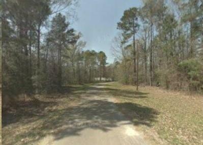 Property Photo: Tbd Forester TX 77351