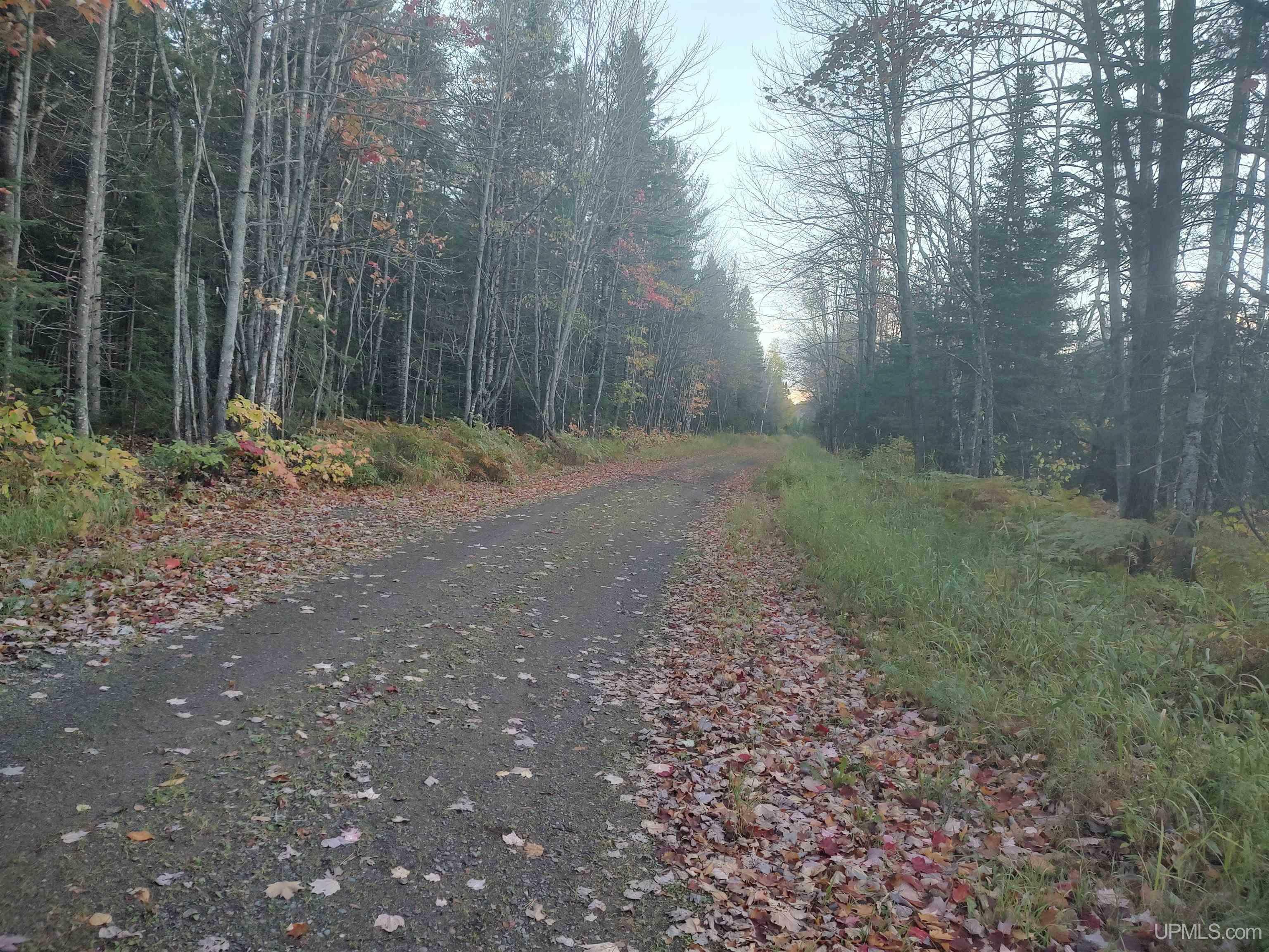 Tbd Lahti  L'Anse MI 49946 photo