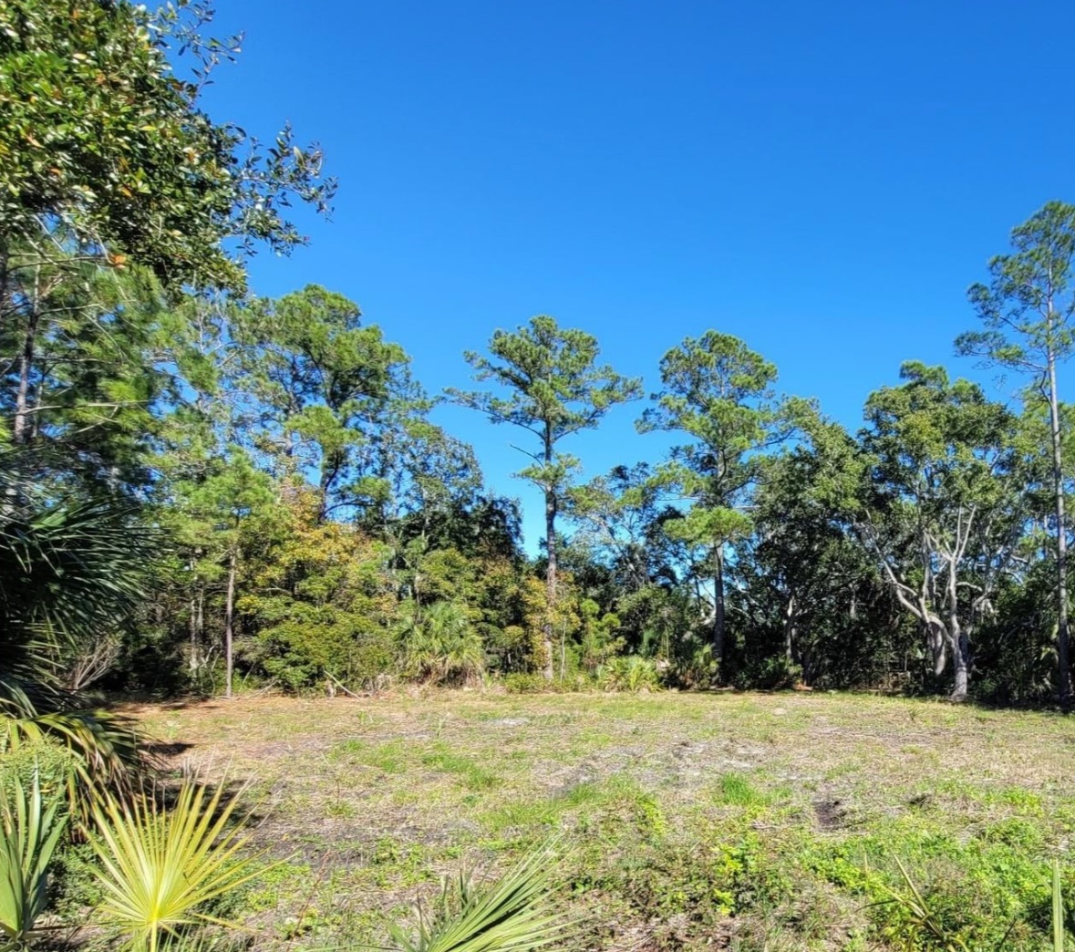 Lot 5 Blue Dolphin Drive 2  Crawfordville FL 32327 photo