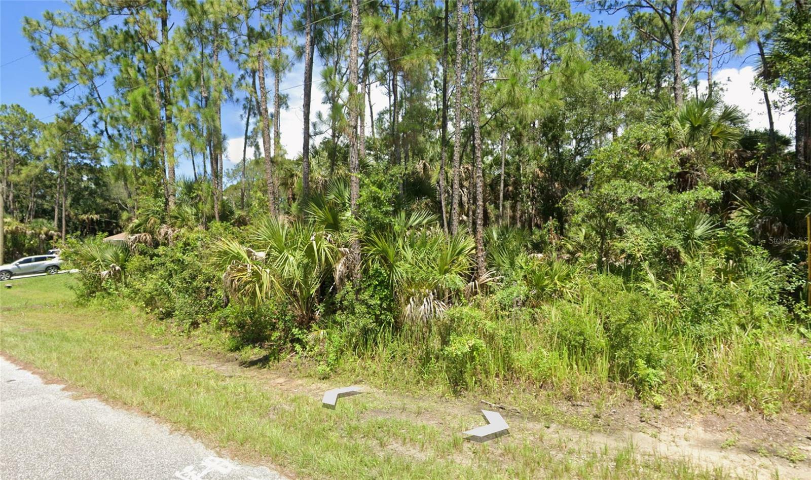 Property Photo:  Paula Street  FL 34286 