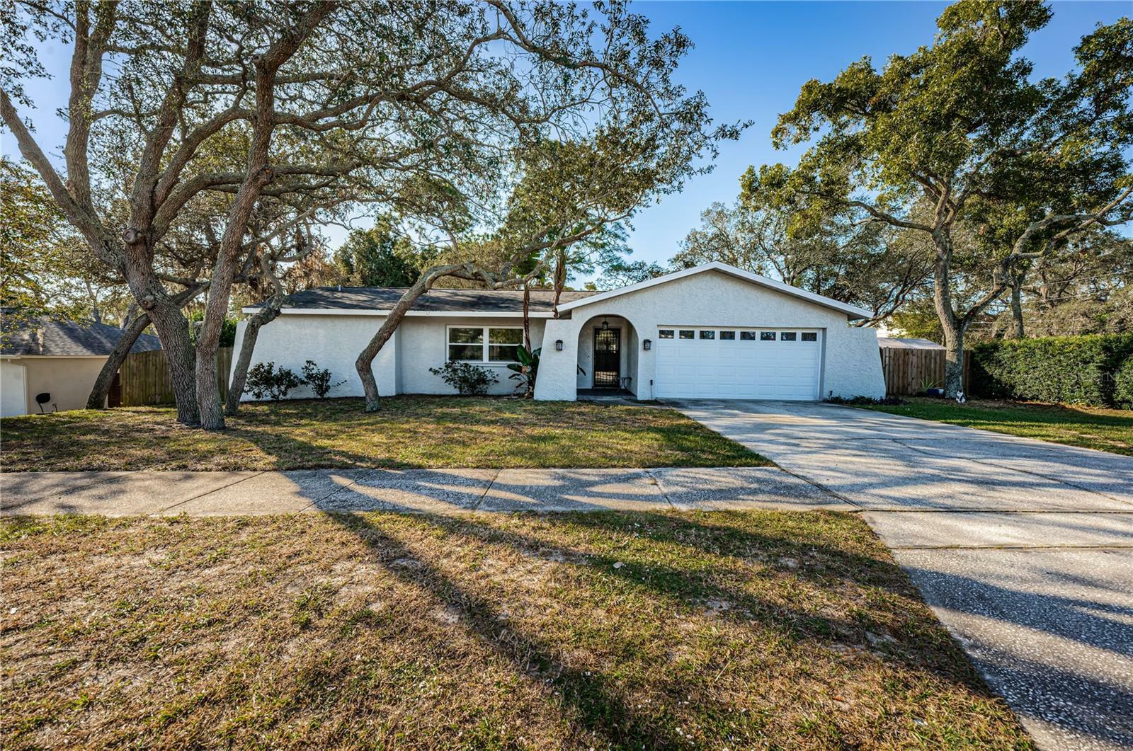 Property Photo: 1100 E Lime Street FL 34689