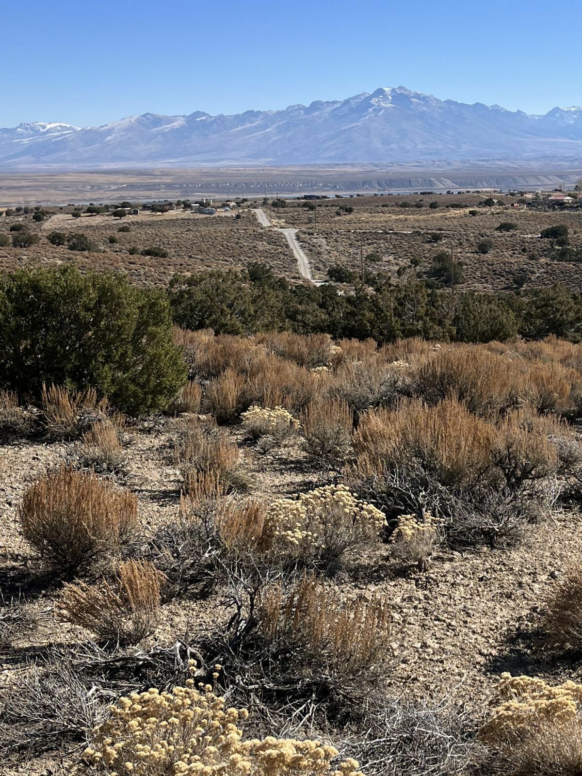 Property Photo:  Lee Avenue  NV 89815 