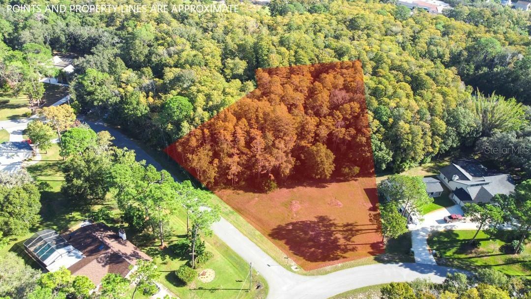 Property Photo: 0 Morningsun Court FL 34655