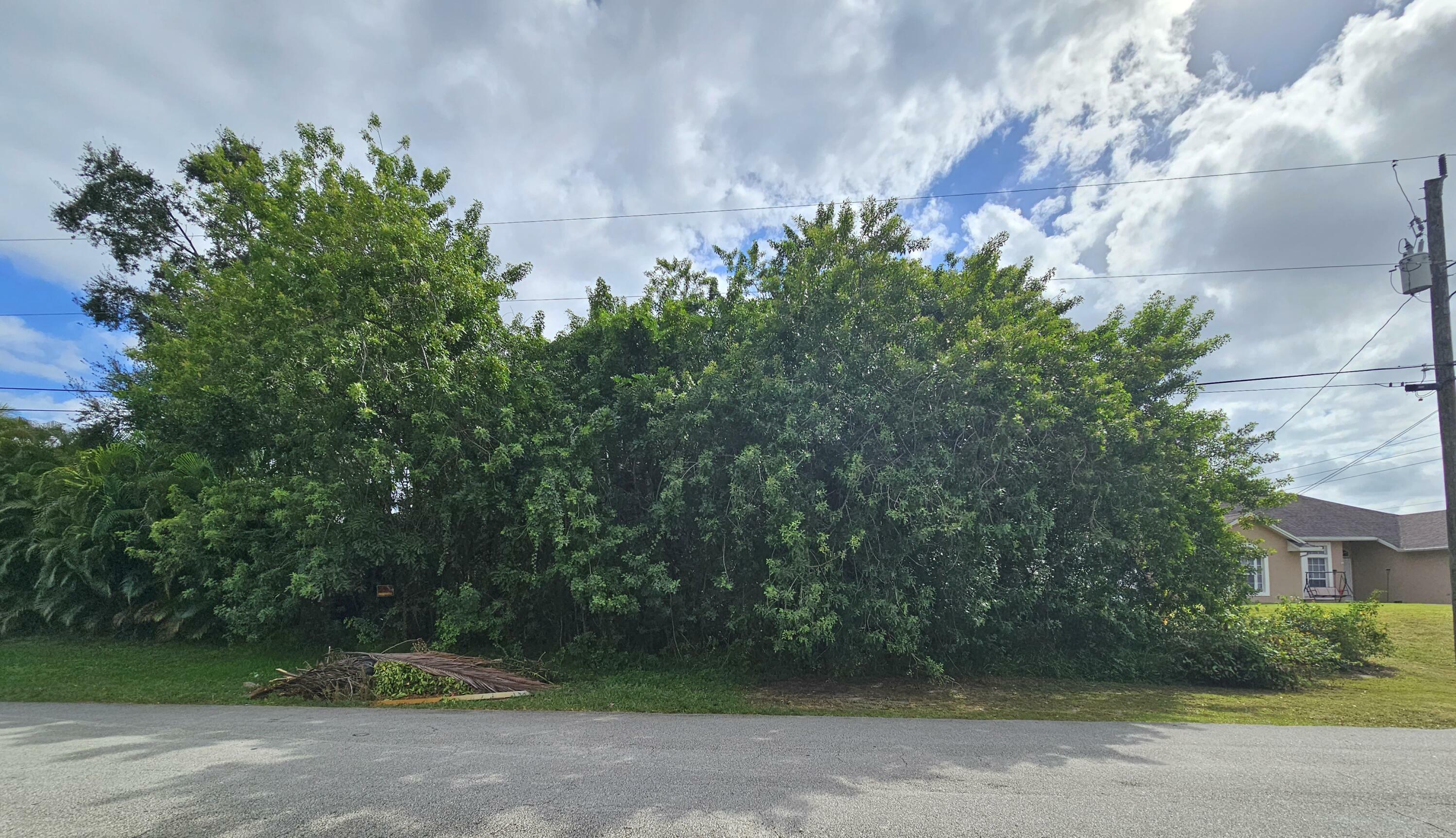 Property Photo:  458 SW Ryan Avenue  FL 34953 