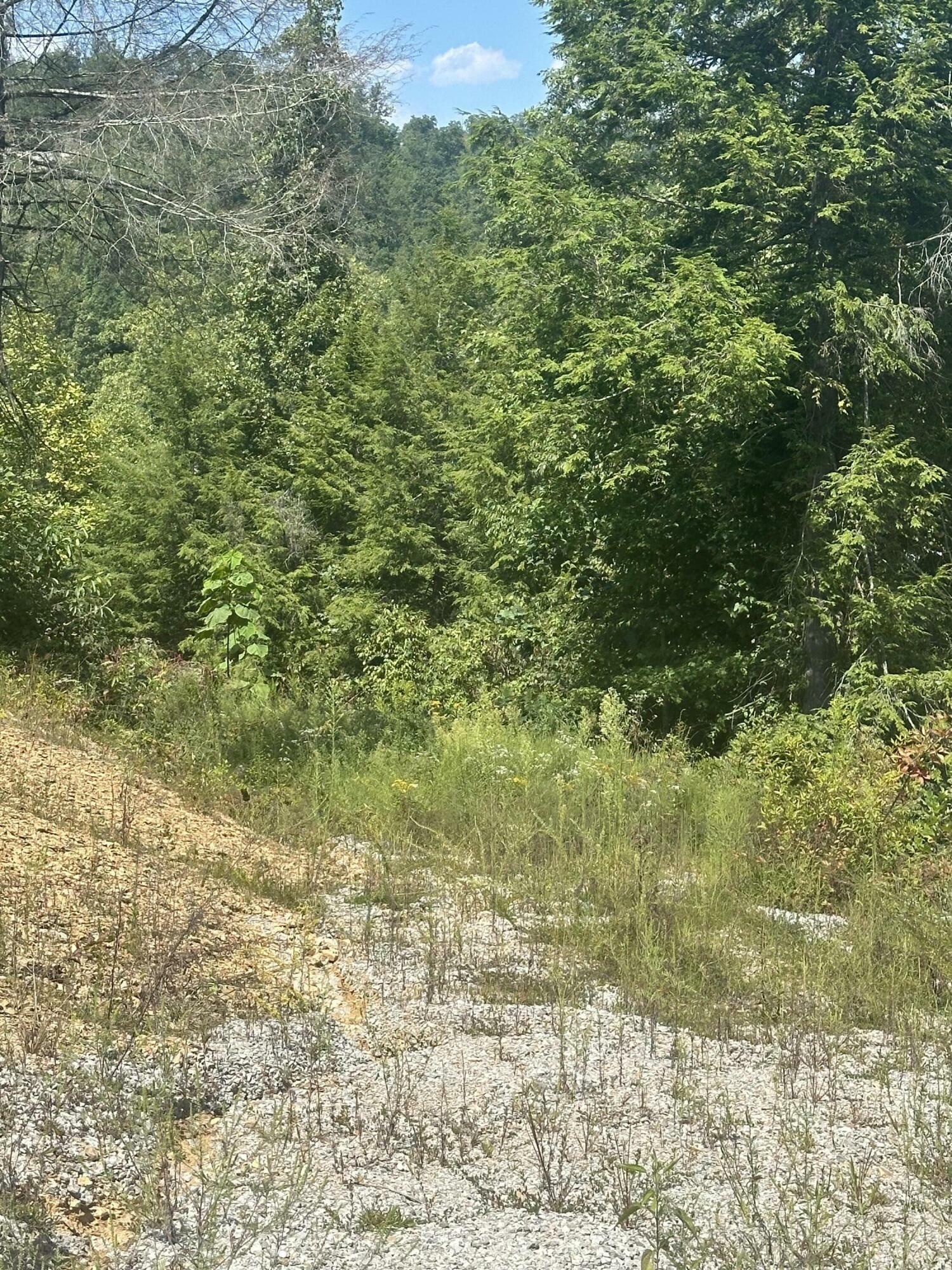 Property Photo:  Lot 6 Sleepy Hollow Road  KY 40729 