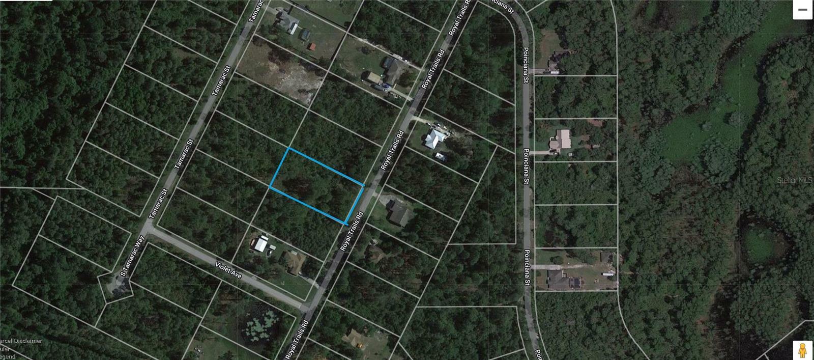 Property Photo:  Royal Trails Road  FL 32726 