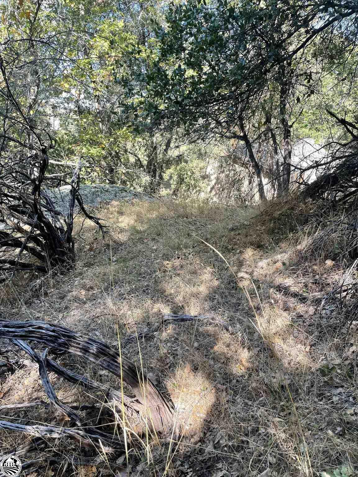 Property Photo:  21357 Ridgeview Drive  CA 95370 