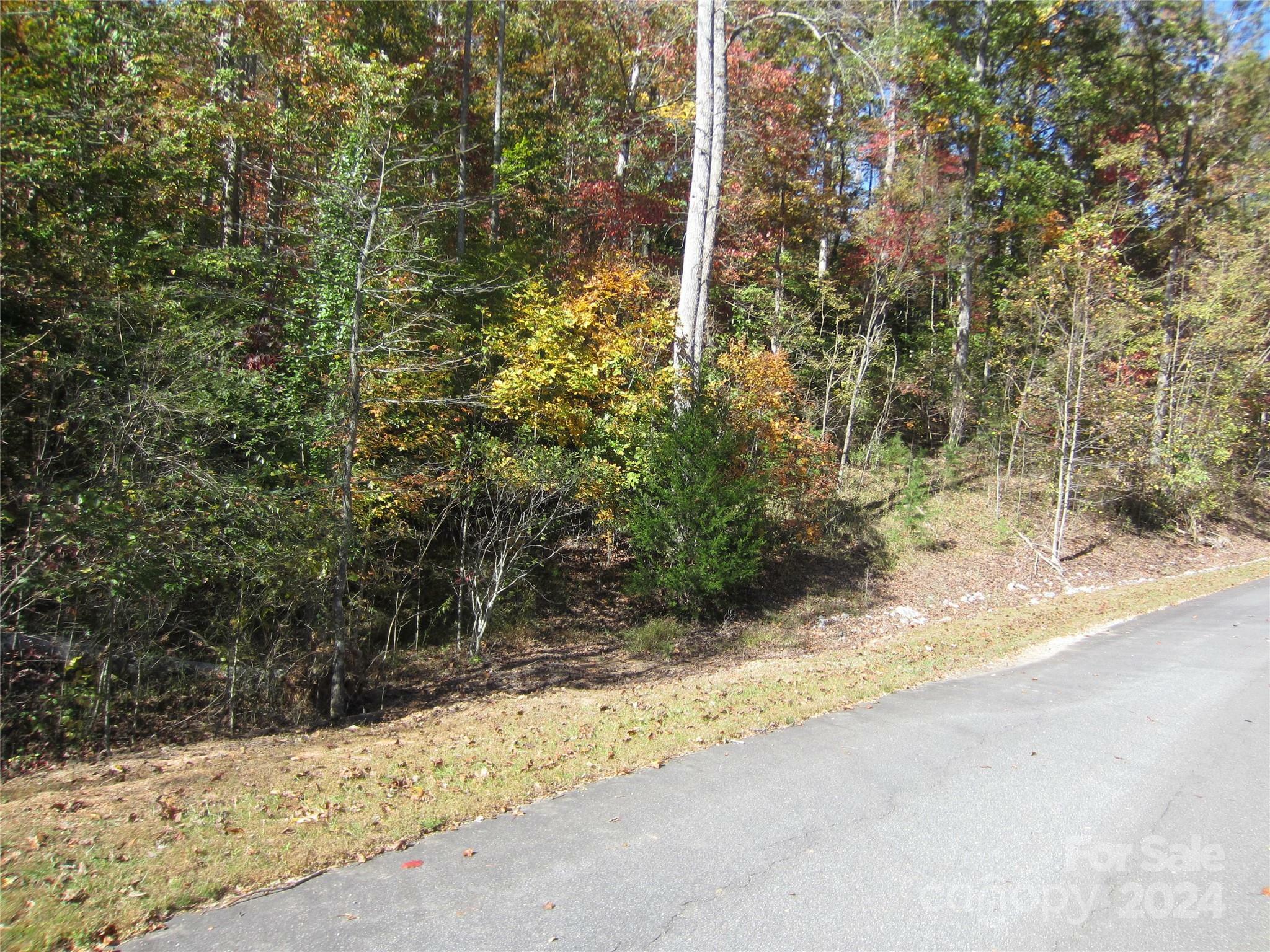 Property Photo:  000 Trail Ridge Drive  NC 28752 