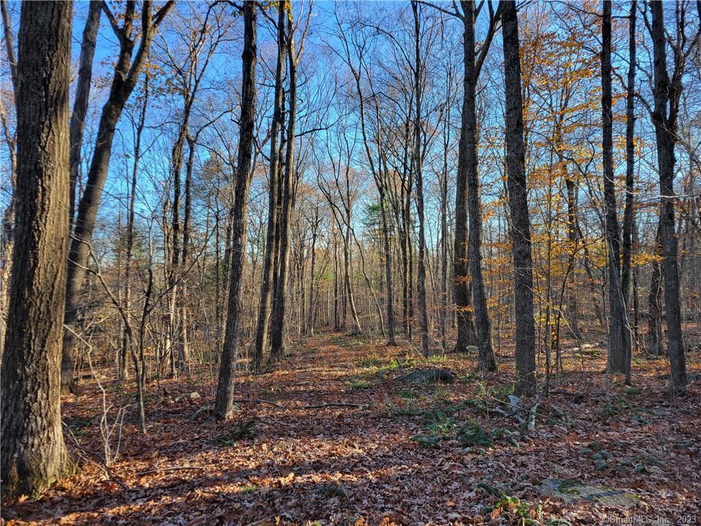 Property Photo: Lot 4 Browns Road CT 06250