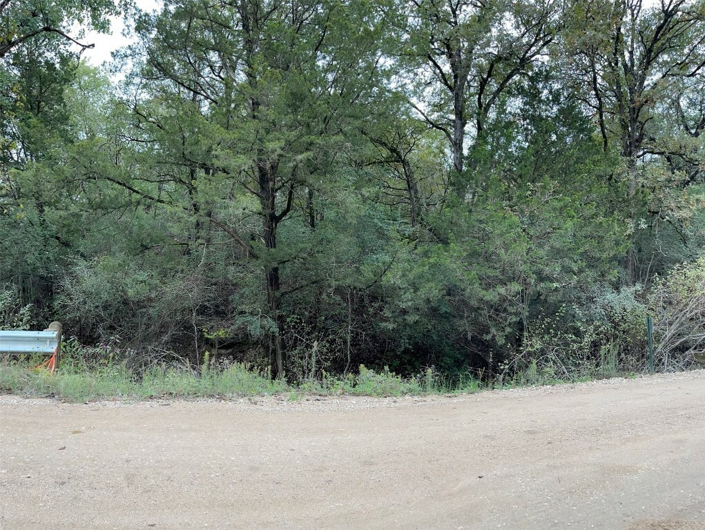 Property Photo: 161 Kaaawa Lane TX 78602